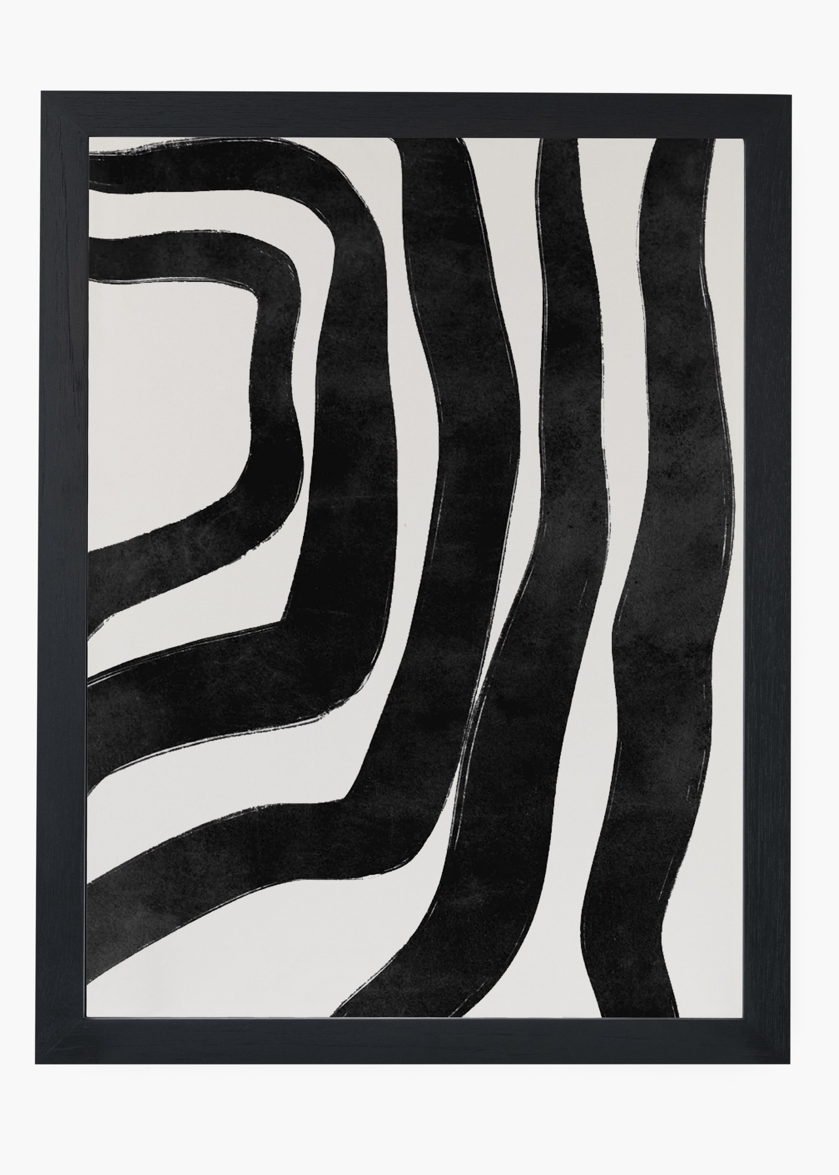 Quadro Zebra