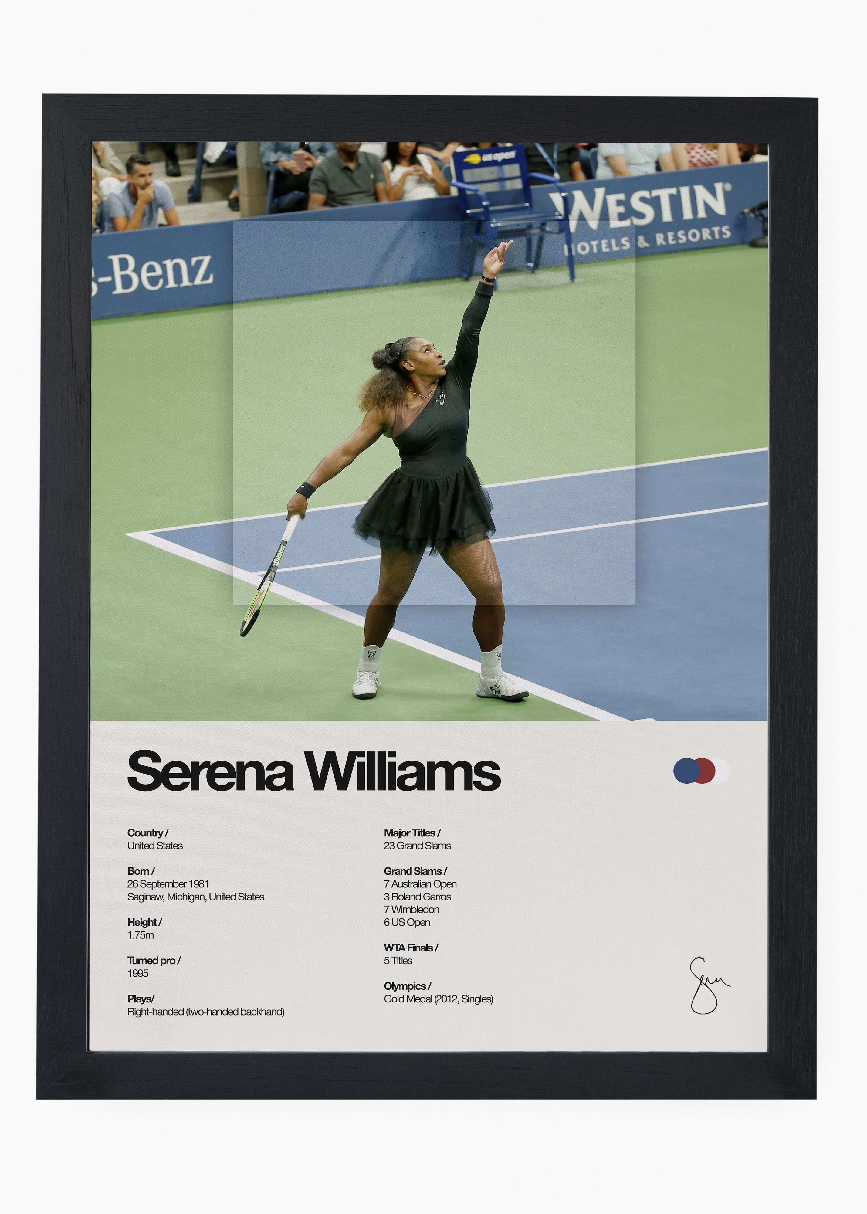 Quadro Serena Williams