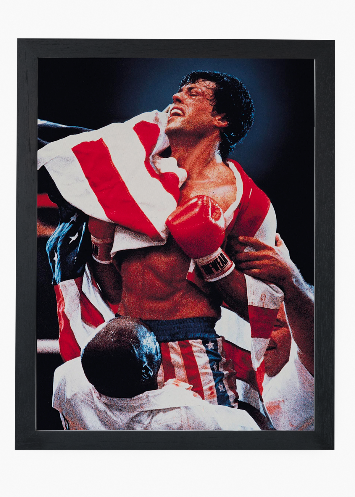 Quadro Rocky Balboa (Rocky IV) - 4