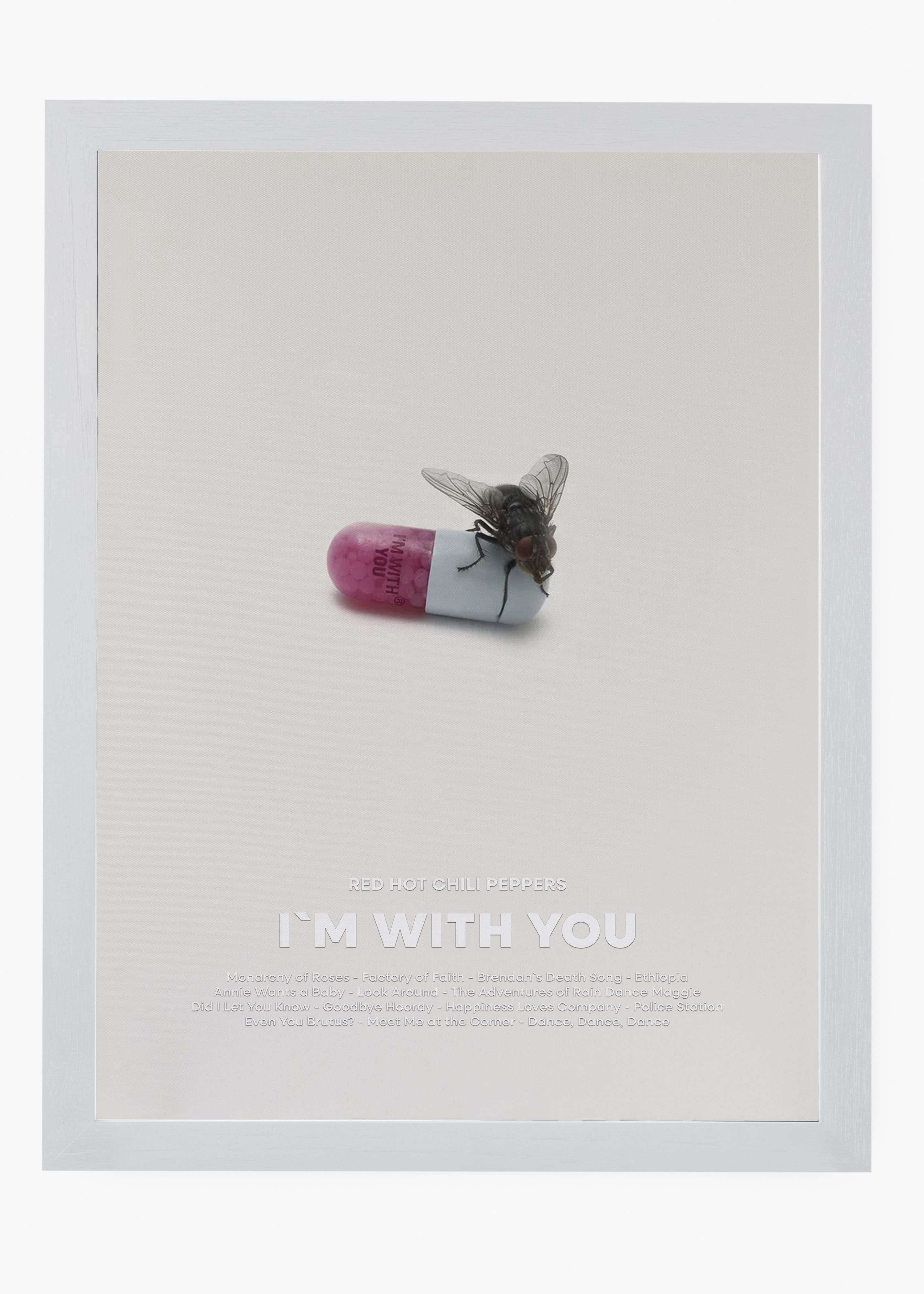 Quadro Red Hot Chili Peppers I'm With You Capa