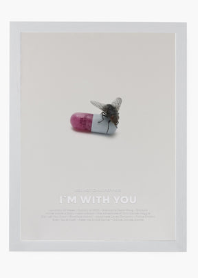 Quadro Red Hot Chili Peppers I'm With You Capa