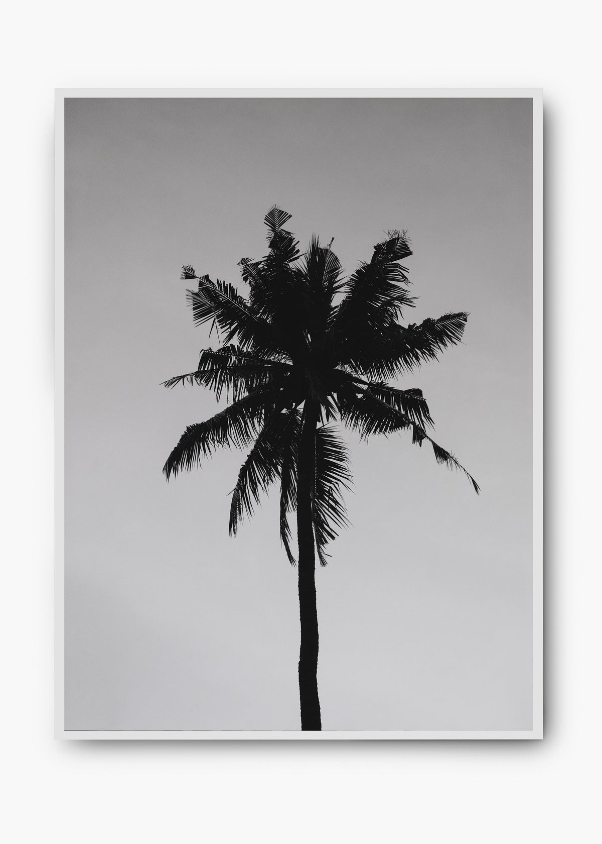 Quadro Sea Nature II