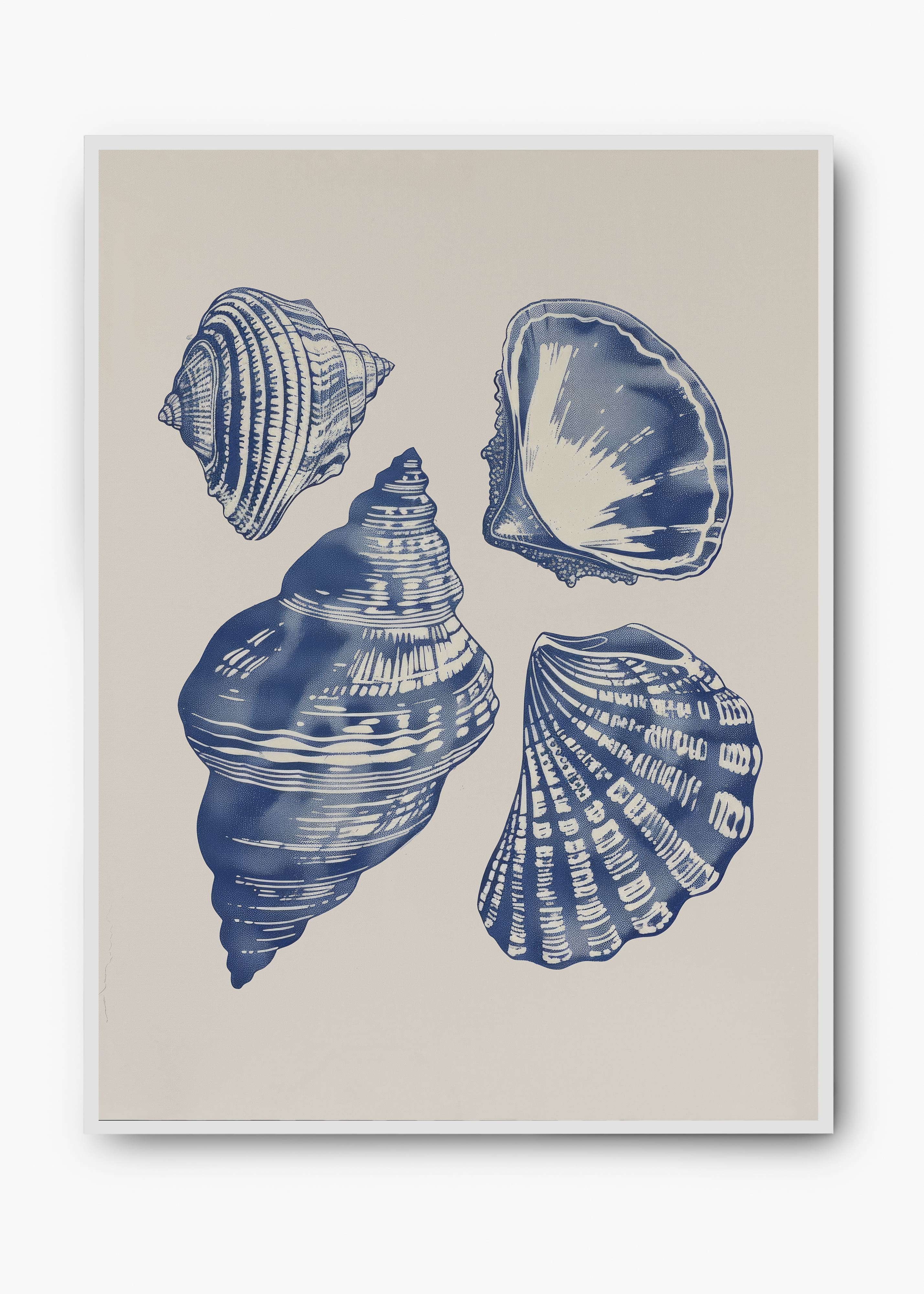 Quadro Shells II