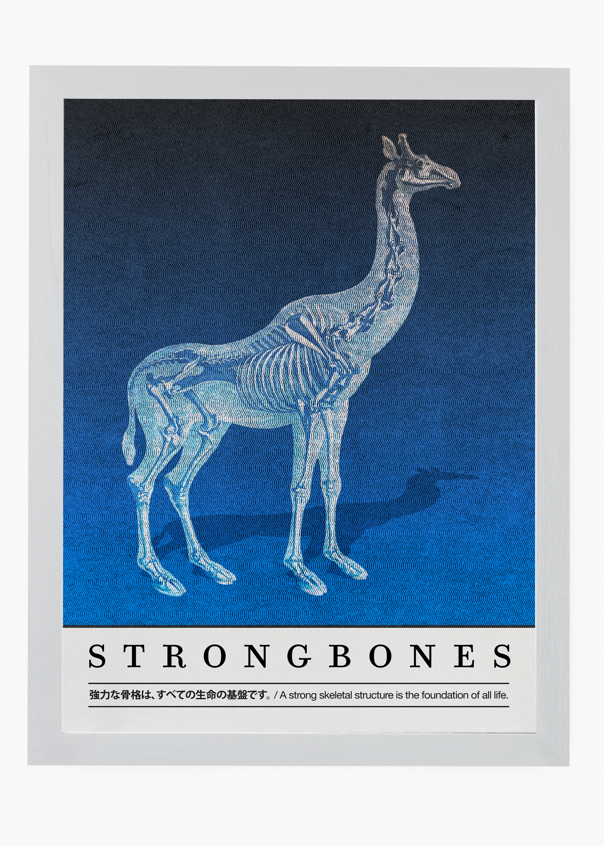 Quadro Strongbones - 5