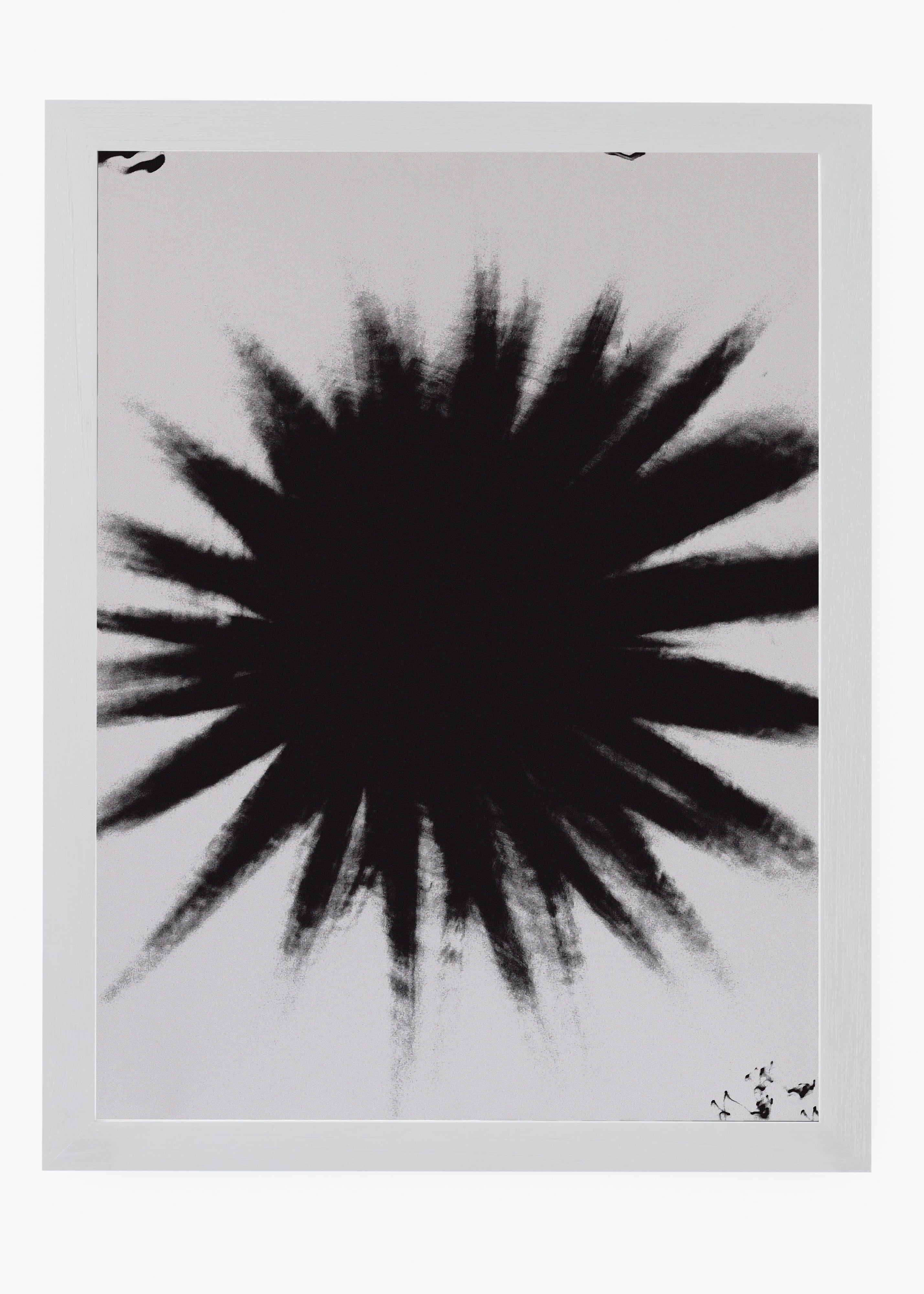 Quadro Star