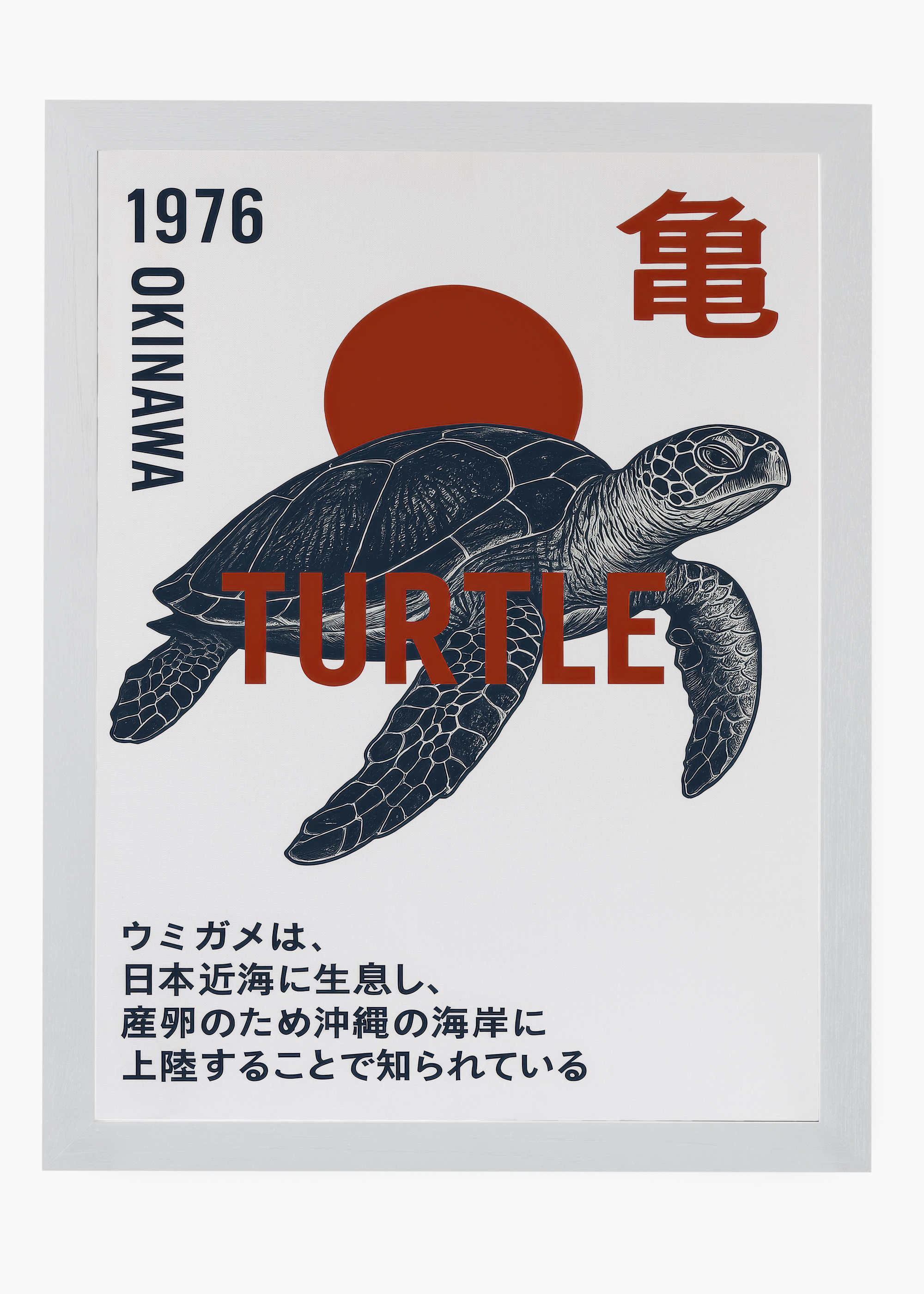 Quadro Japonês Turtle Okinawa - 5
