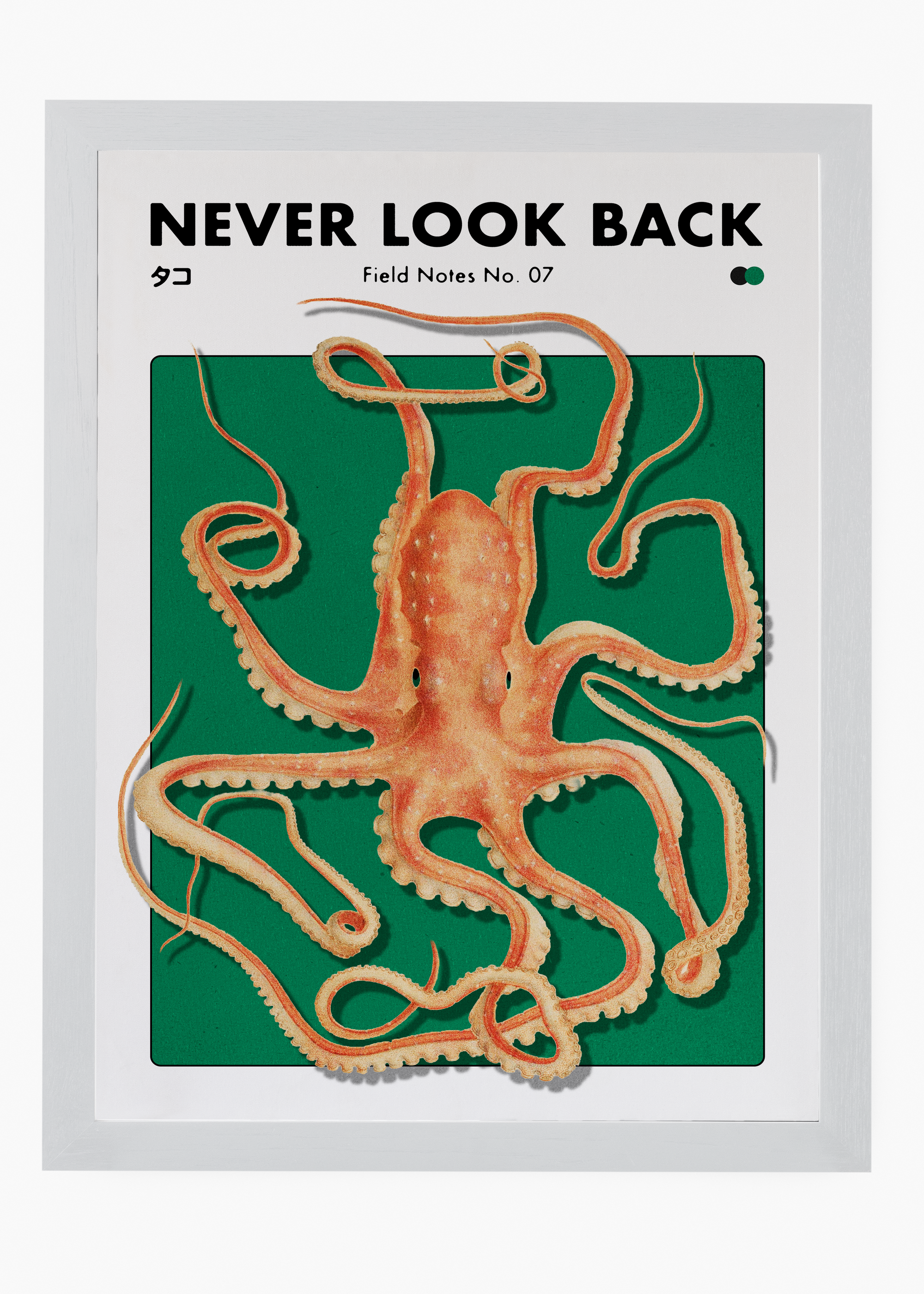 Quadro Never Look Back - 5
