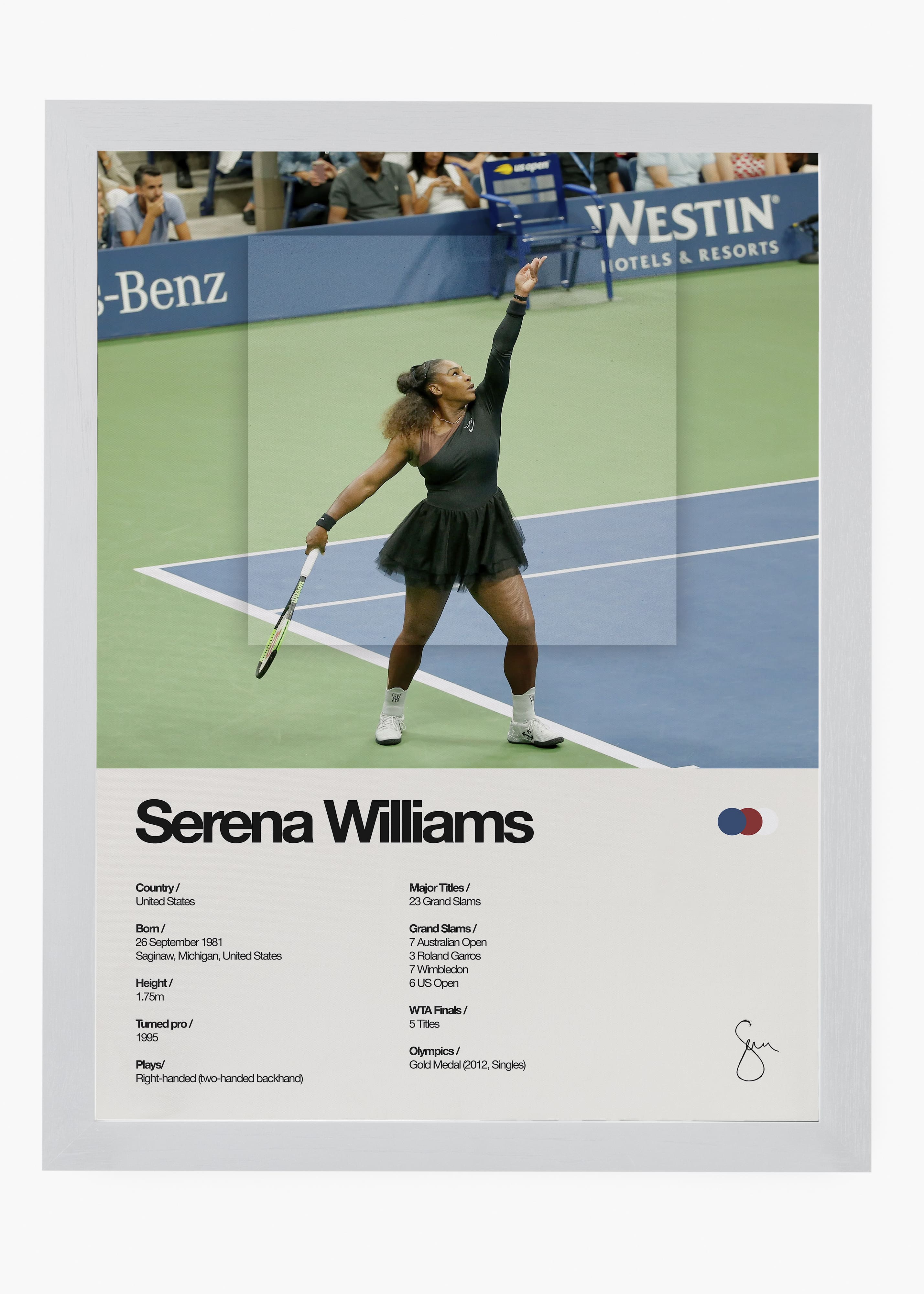 Quadro Serena Williams