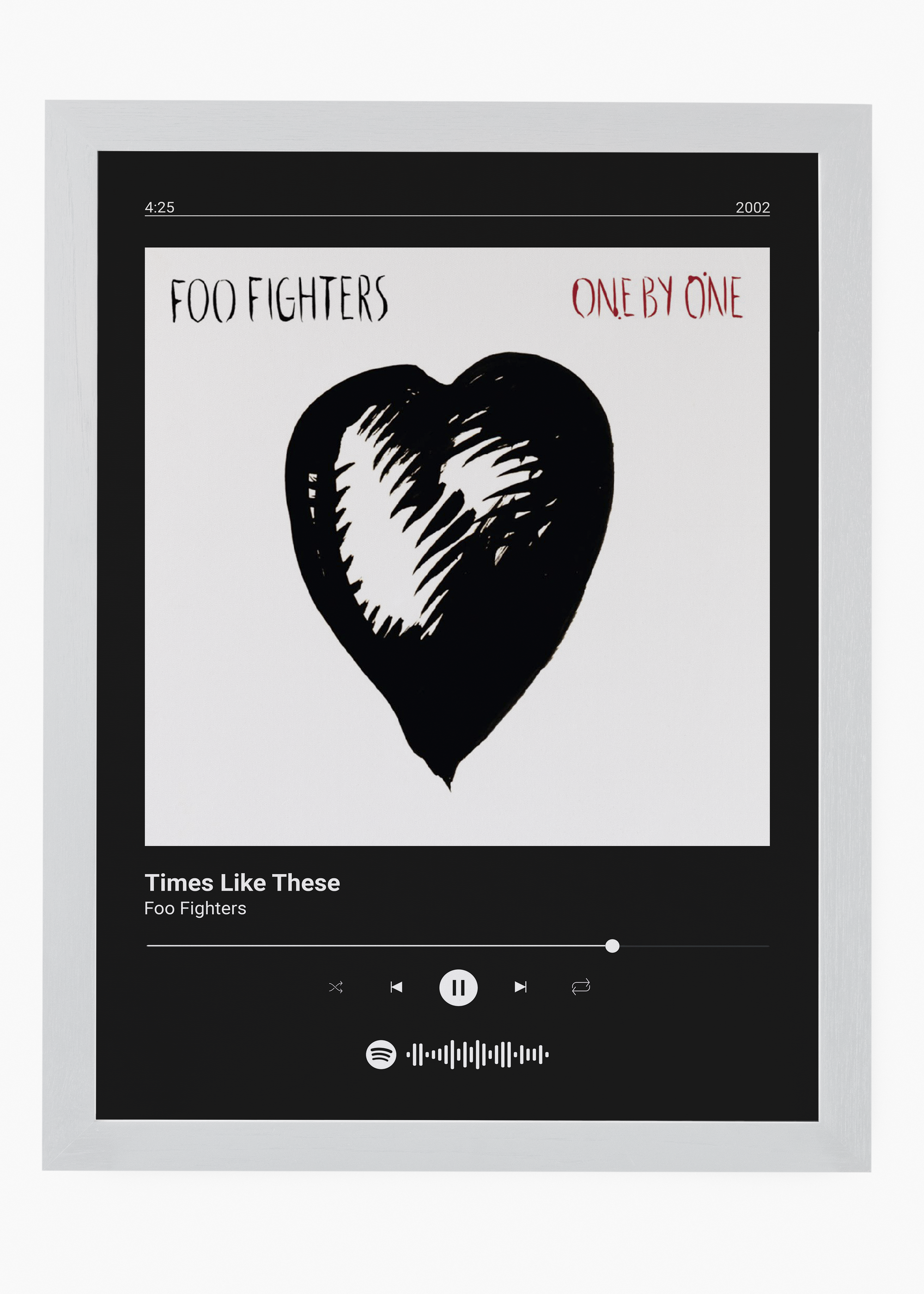 Quadro Foo Fighters Times Like These - 5