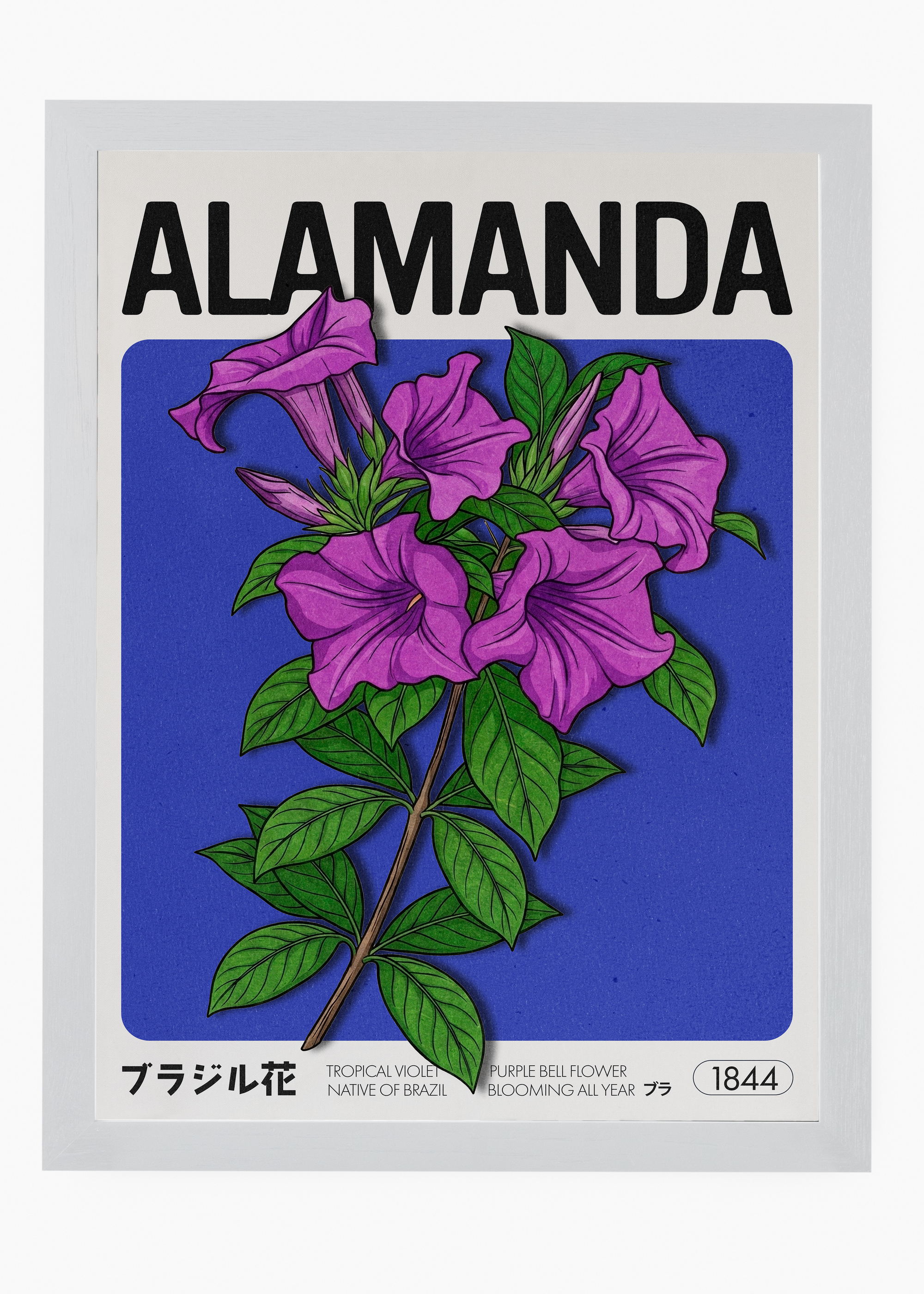 Quadro Alamanda - 5