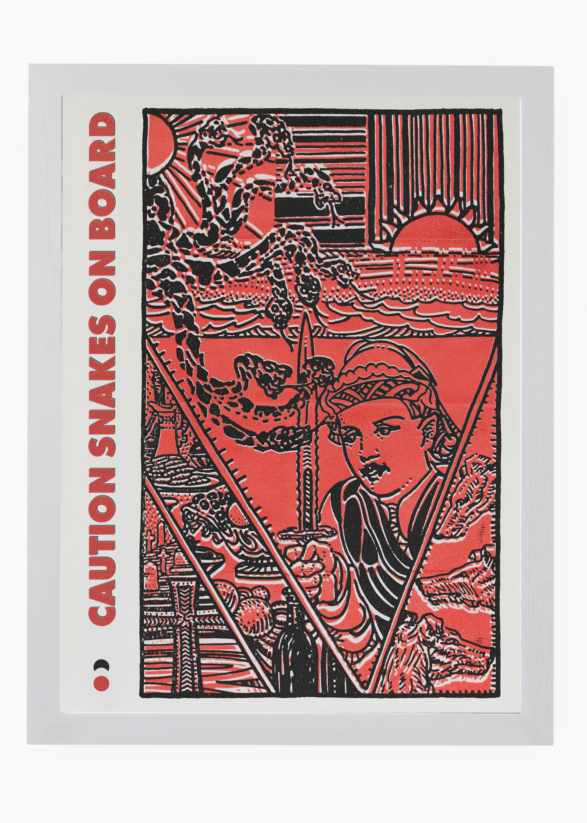 Quadro Caution Snakes on Board - 5