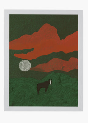 Quadro Field
