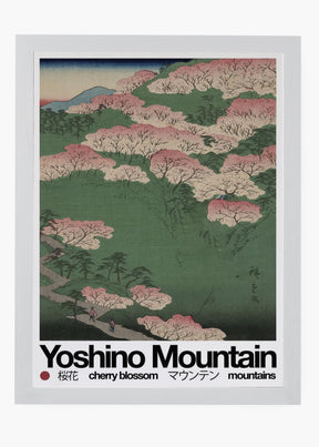 Quadro Mountain Yosh