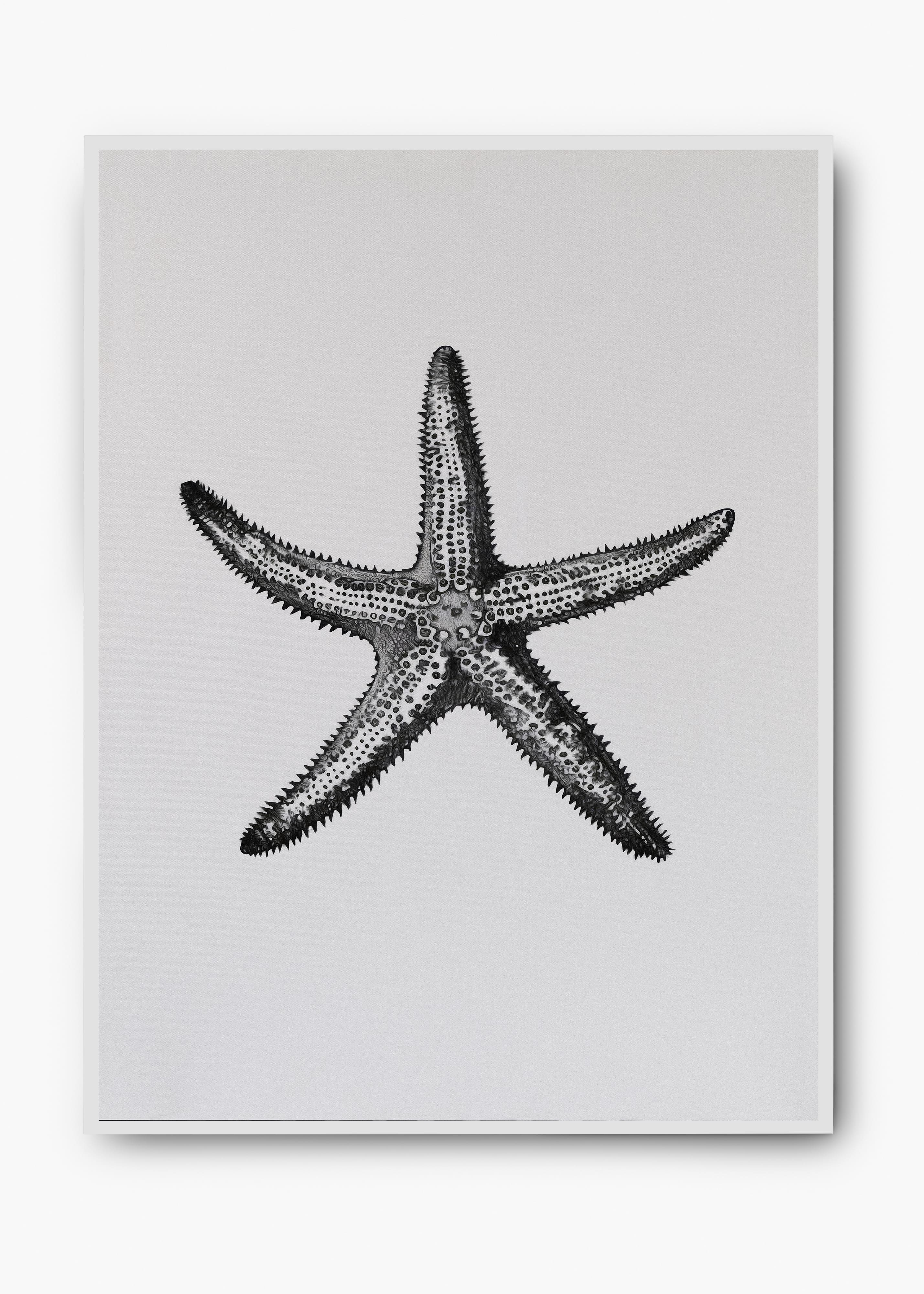 Quadro Starfish