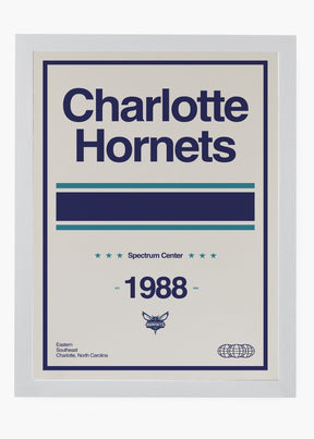Quadro NBA Charlotte Hornets