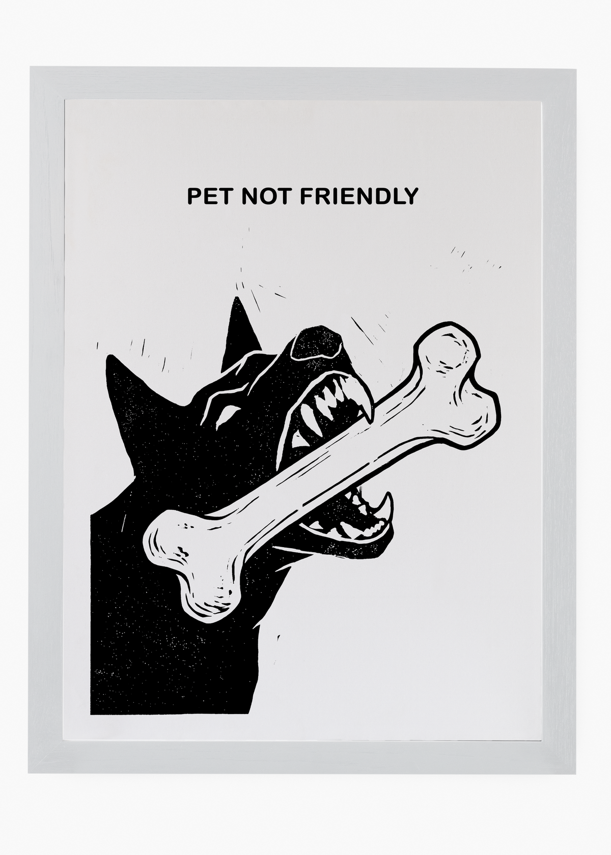 Quadro Pet Not Friendly - 5