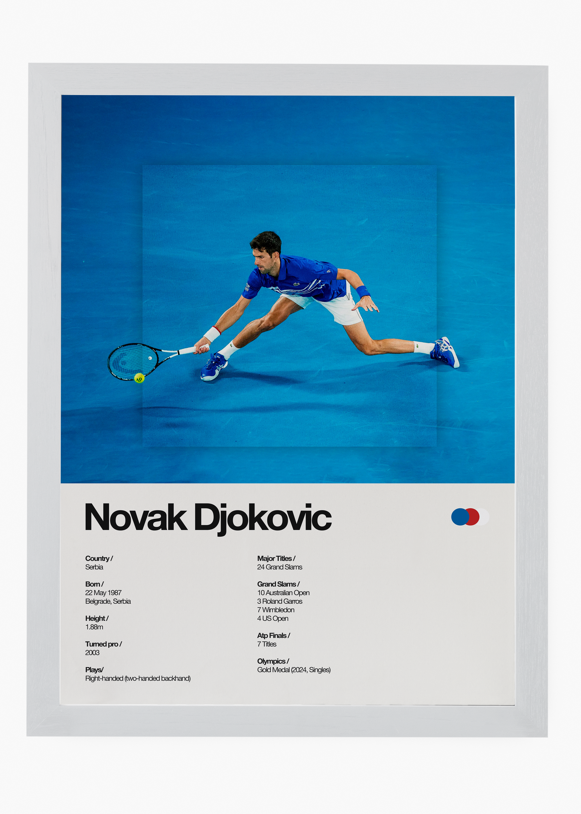 Quadro Novak Djokovic - 5