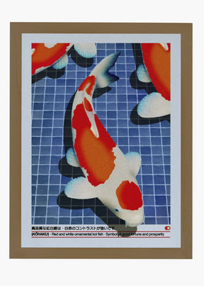 Quadro Koi
