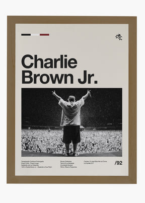 Quadro Charlie Brown Jr Banda