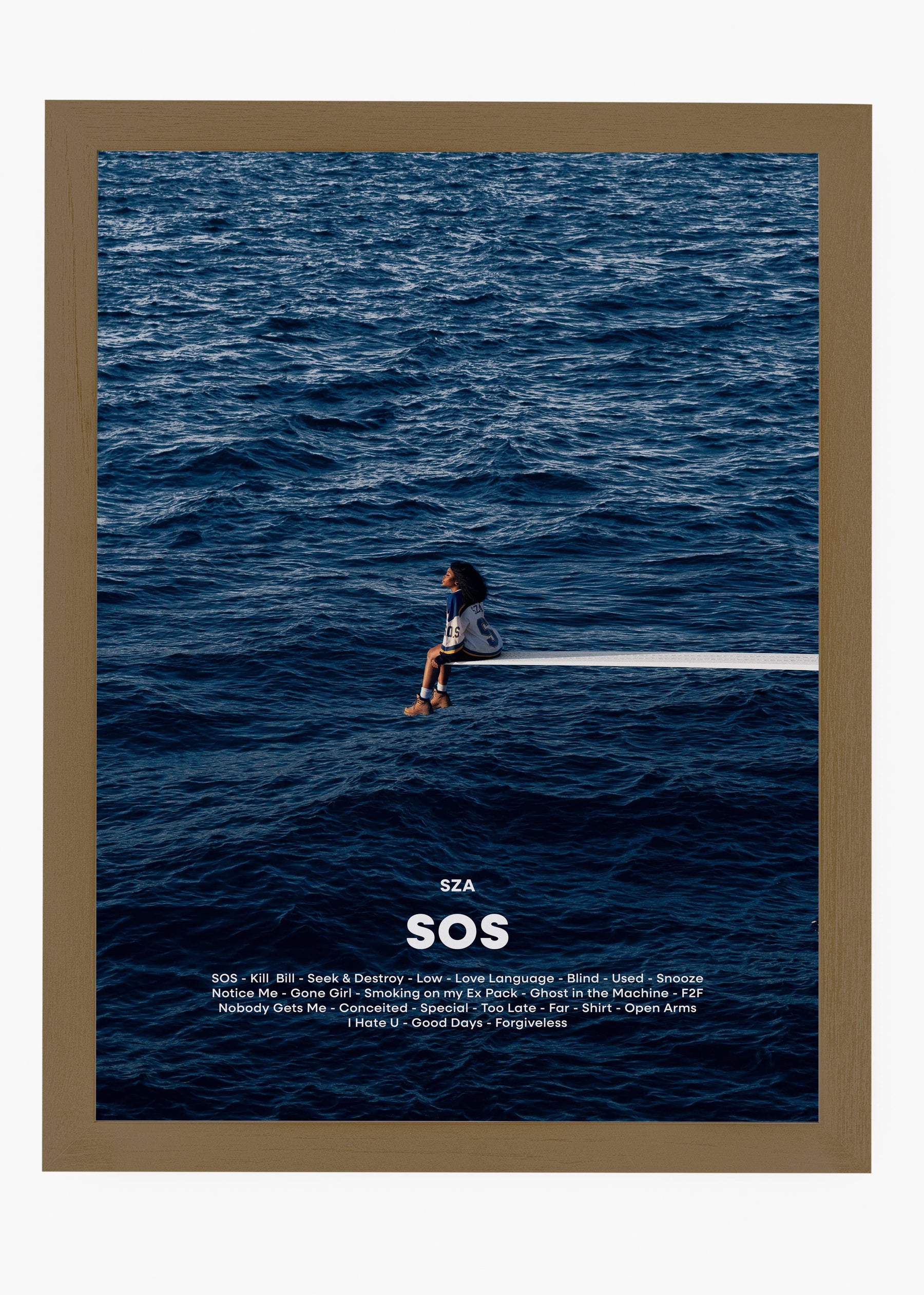 Quadro SZA SOS Capa