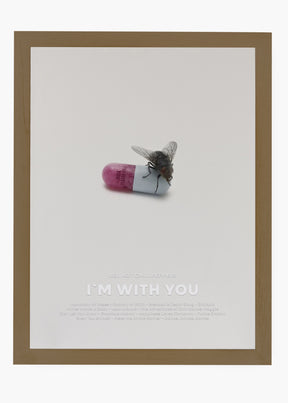 Quadro Red Hot Chili Peppers I'm With You Capa