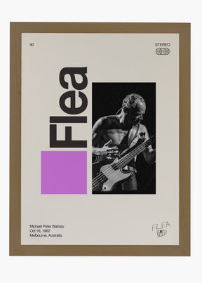 Quadro Signature Flea