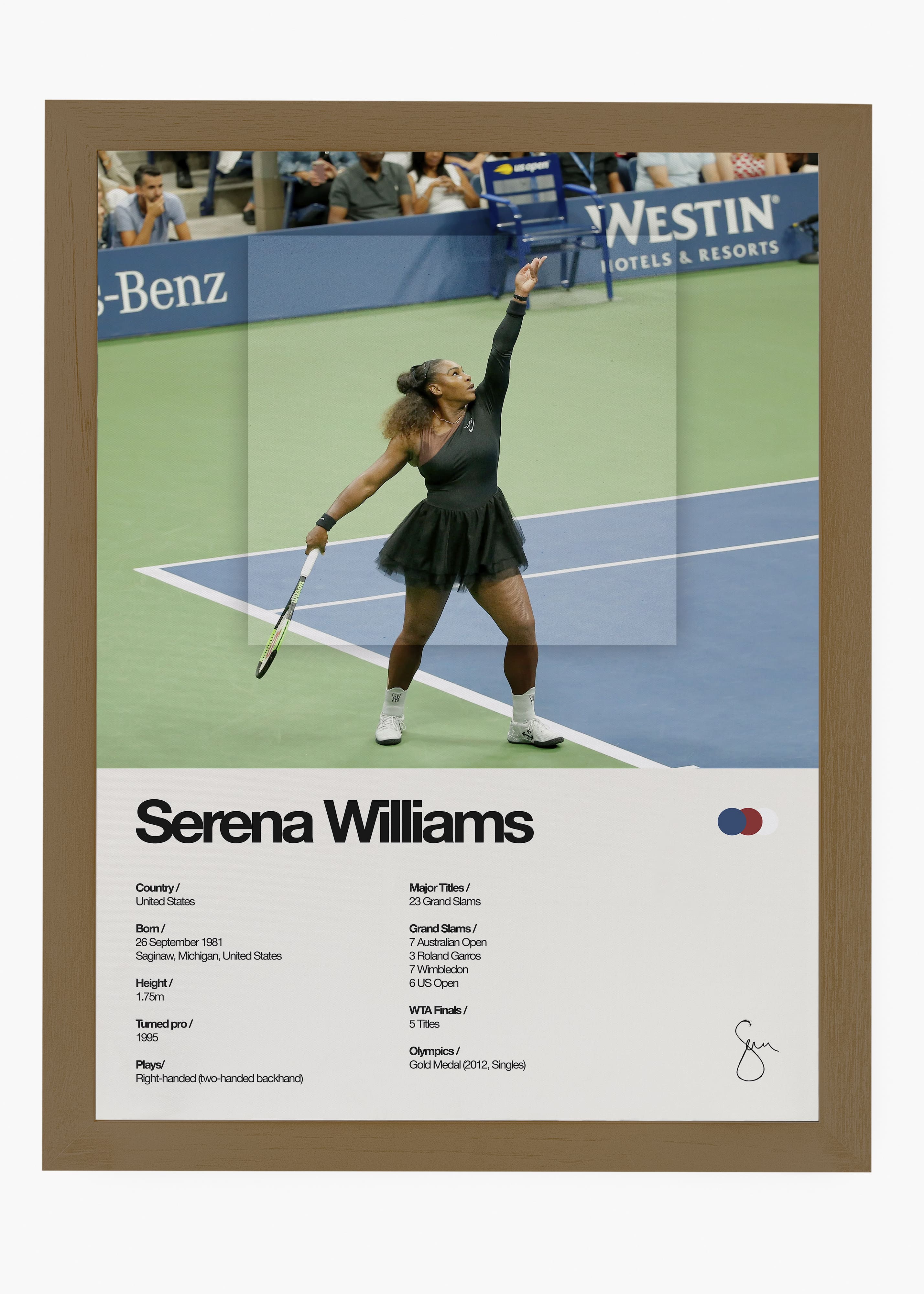 Quadro Serena Williams