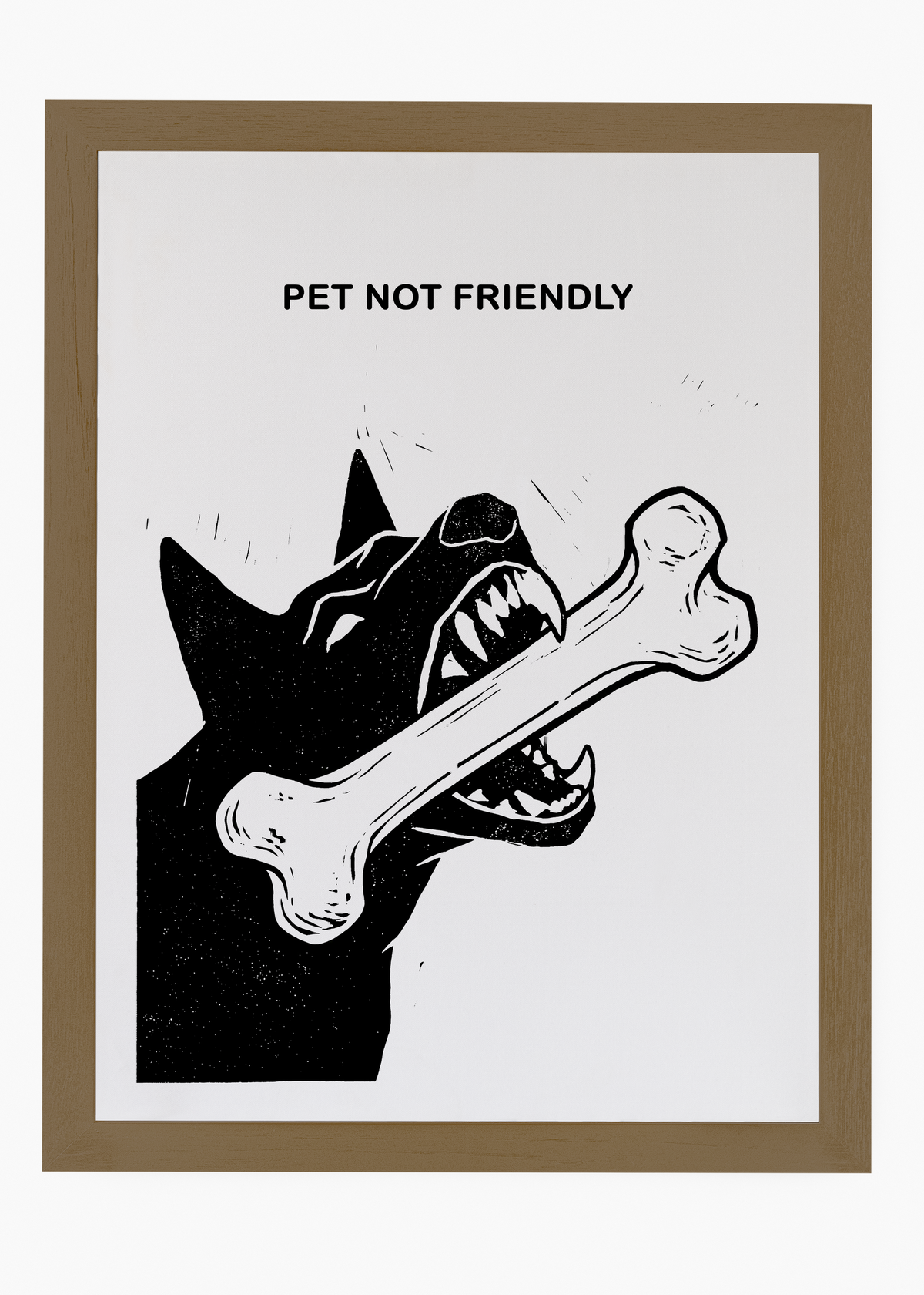 Quadro Pet Not Friendly - 6