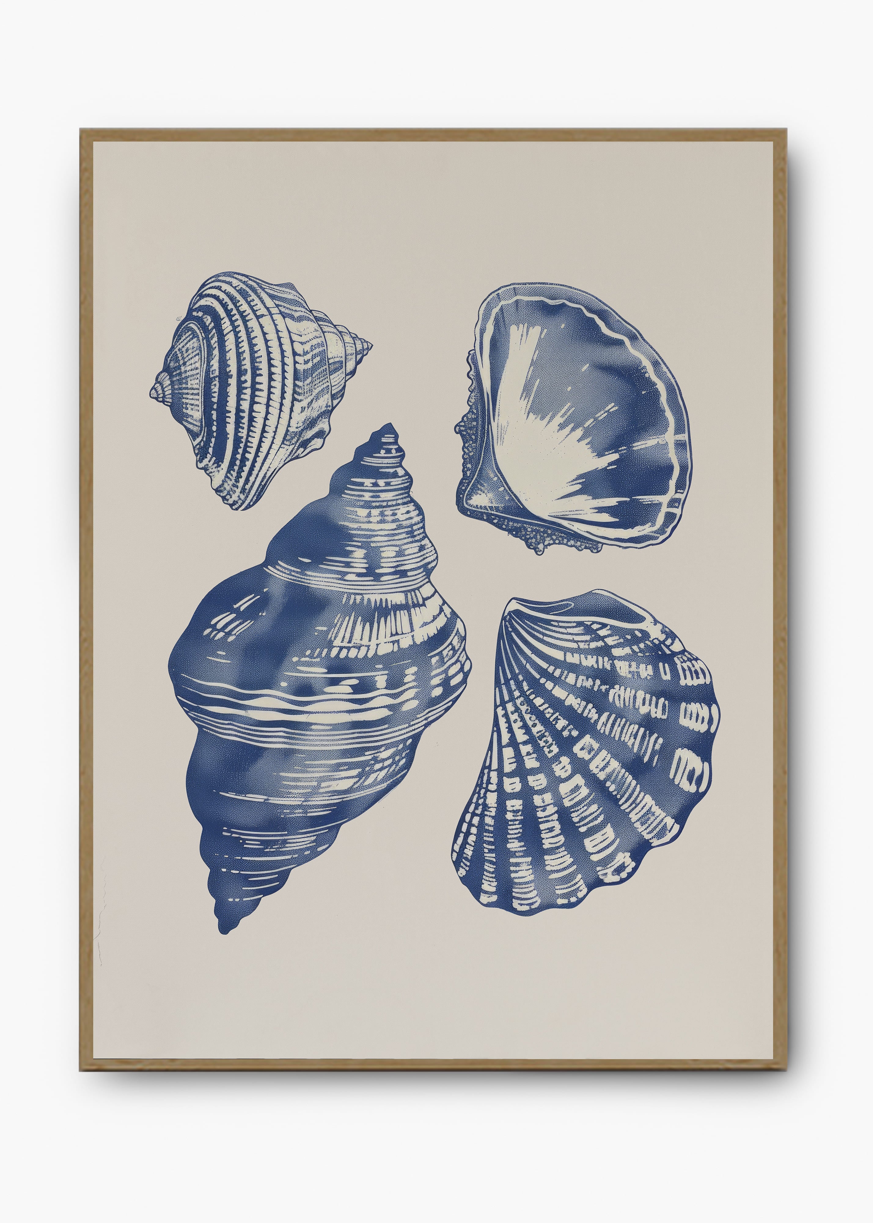 Quadro Shells II