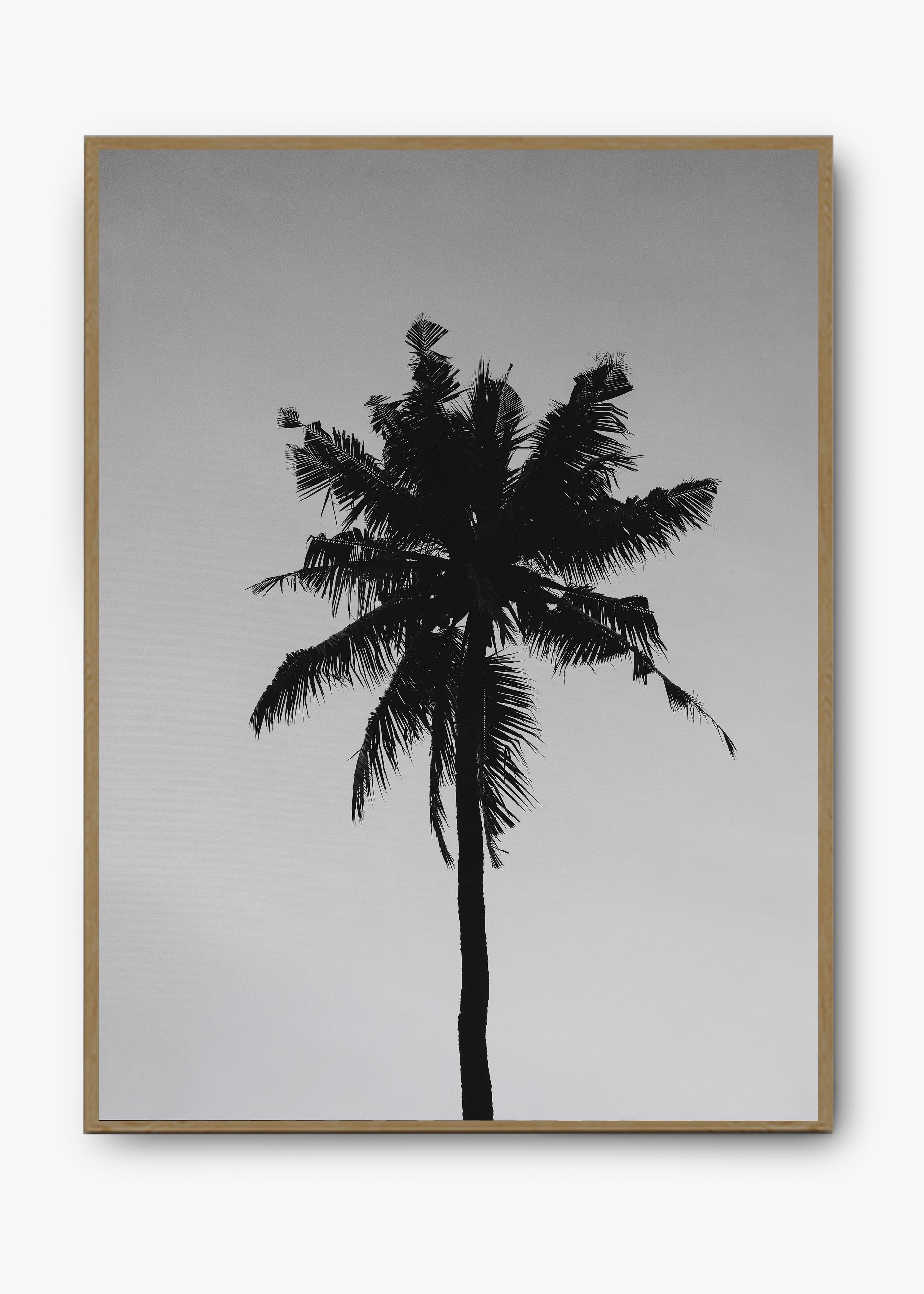 Quadro Sea Nature II