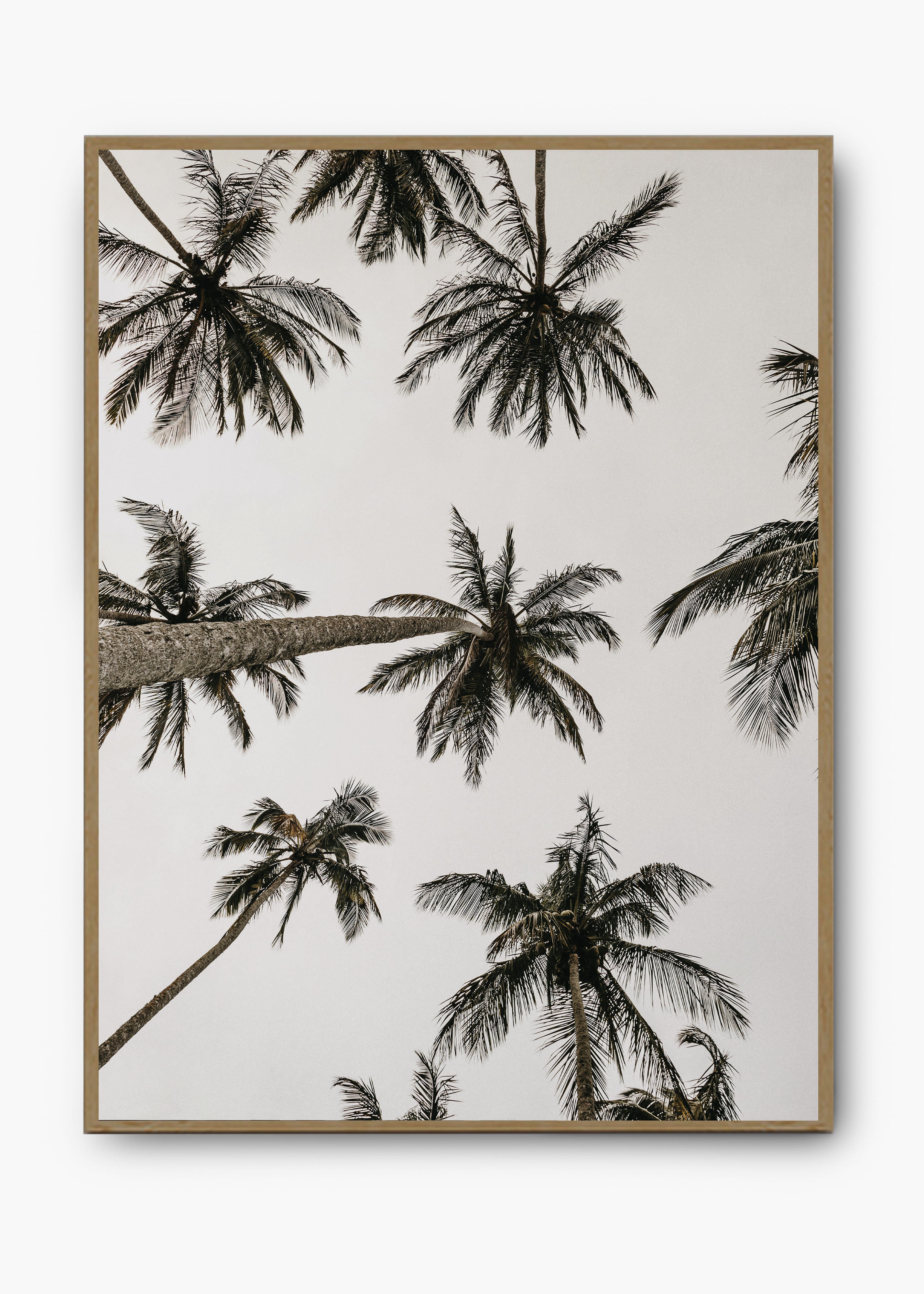 Quadro Sea Nature I