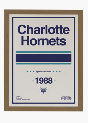 Quadro NBA Charlotte Hornets