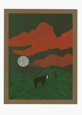 Quadro Field