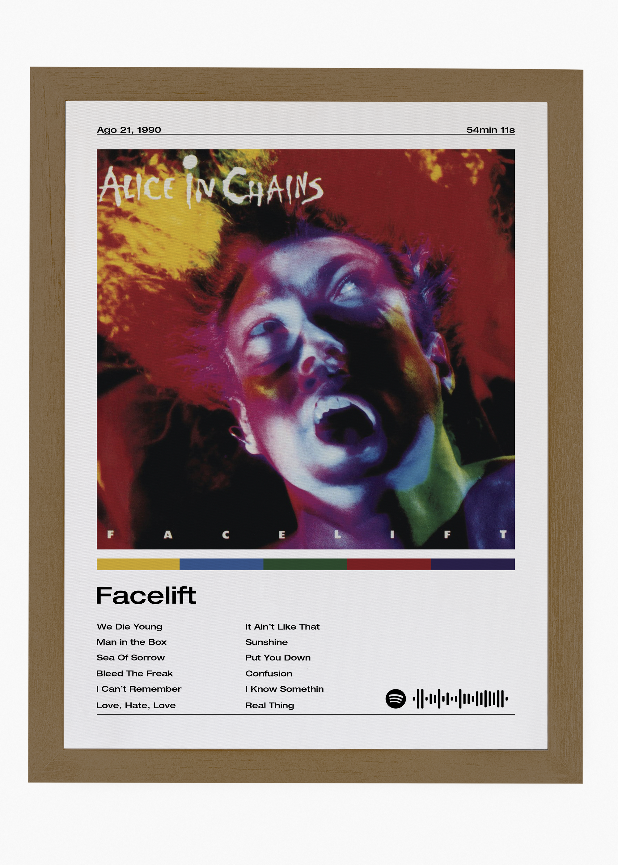 Quadro Alice in Chains Facelift - 6