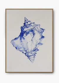 Quadro Shells III