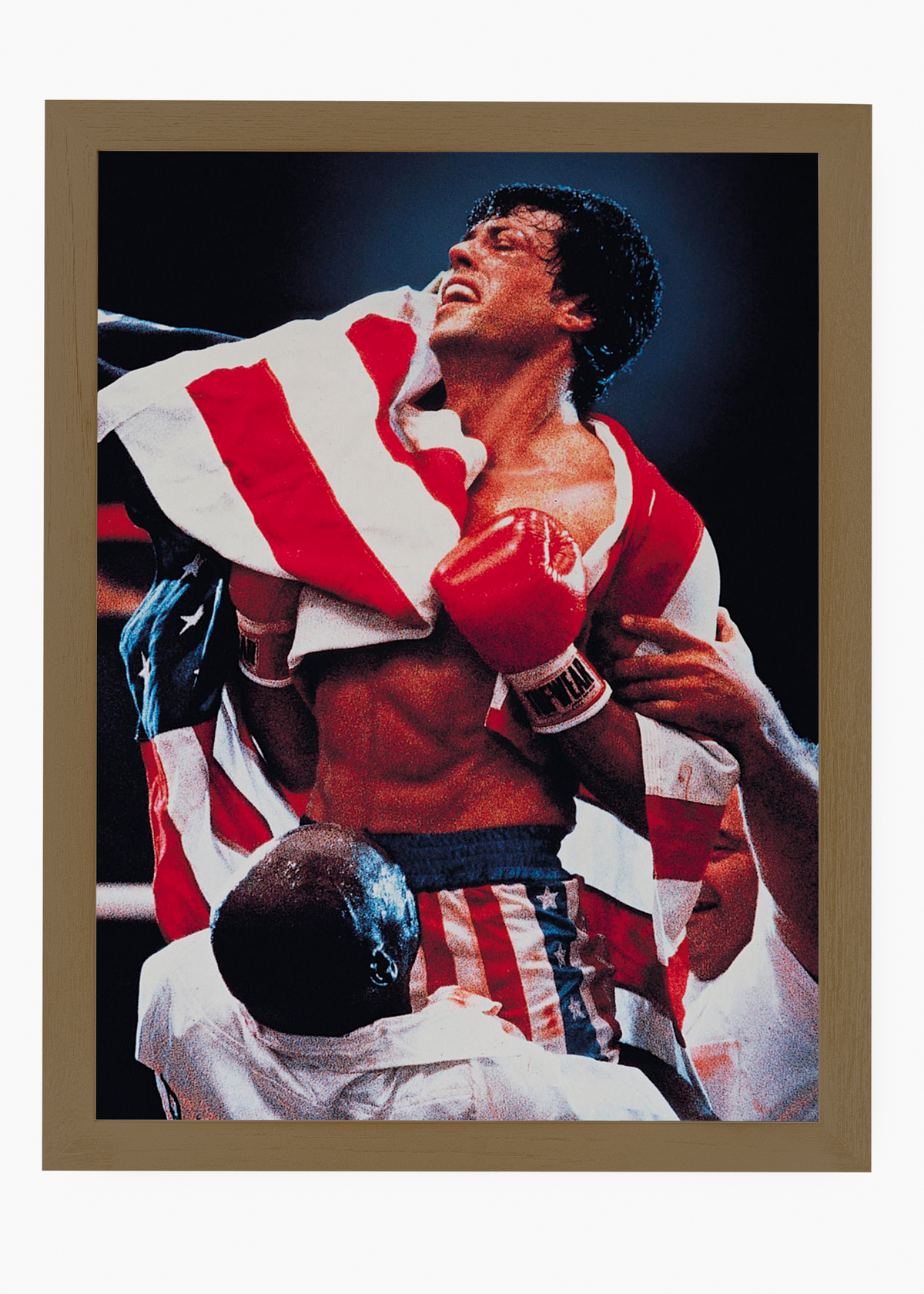Quadro Rocky Balboa (Rocky IV) - 6