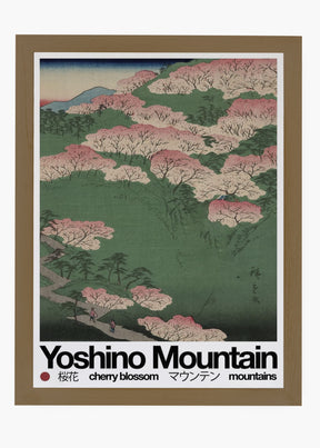 Quadro Mountain Yosh
