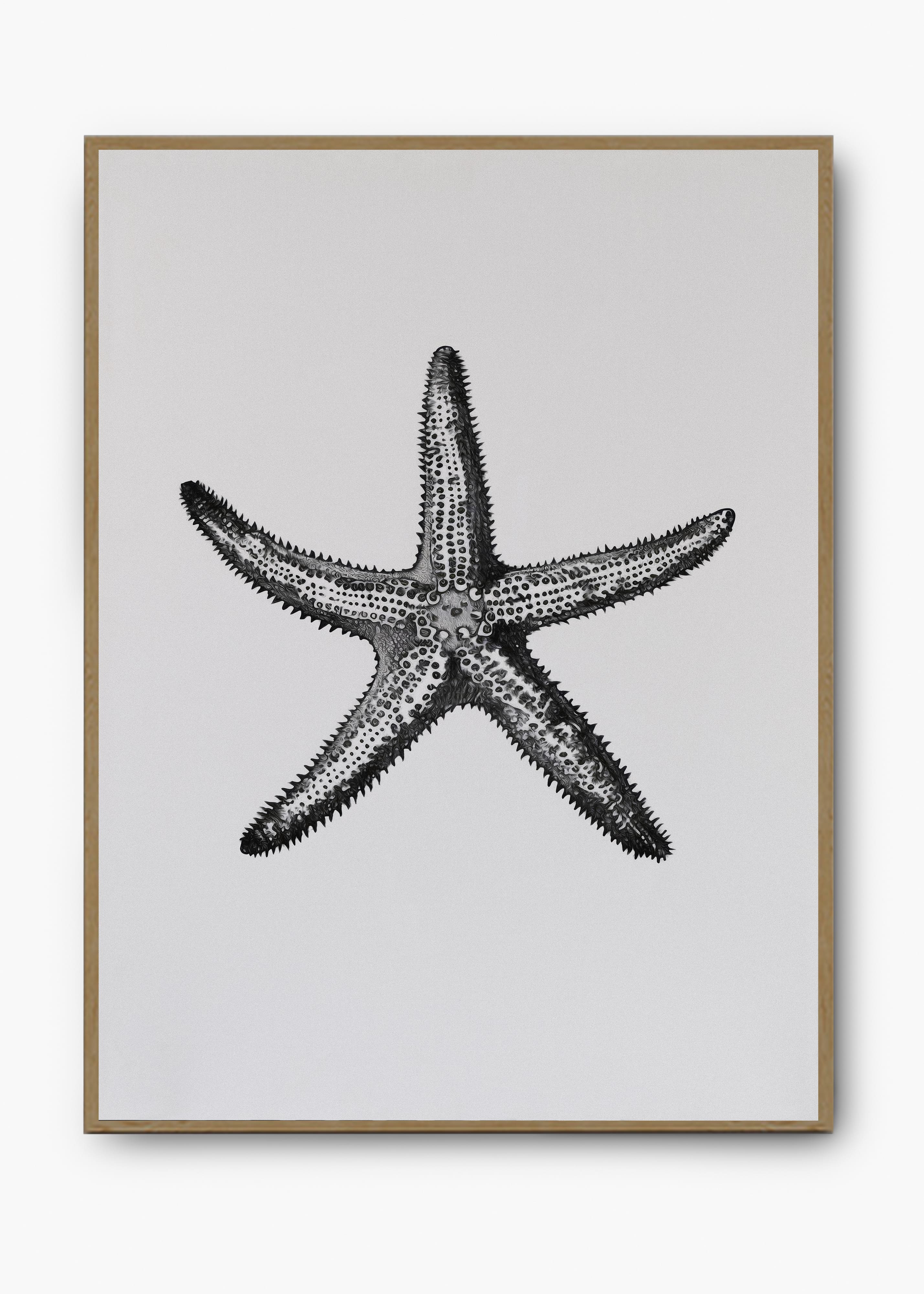 Quadro Starfish