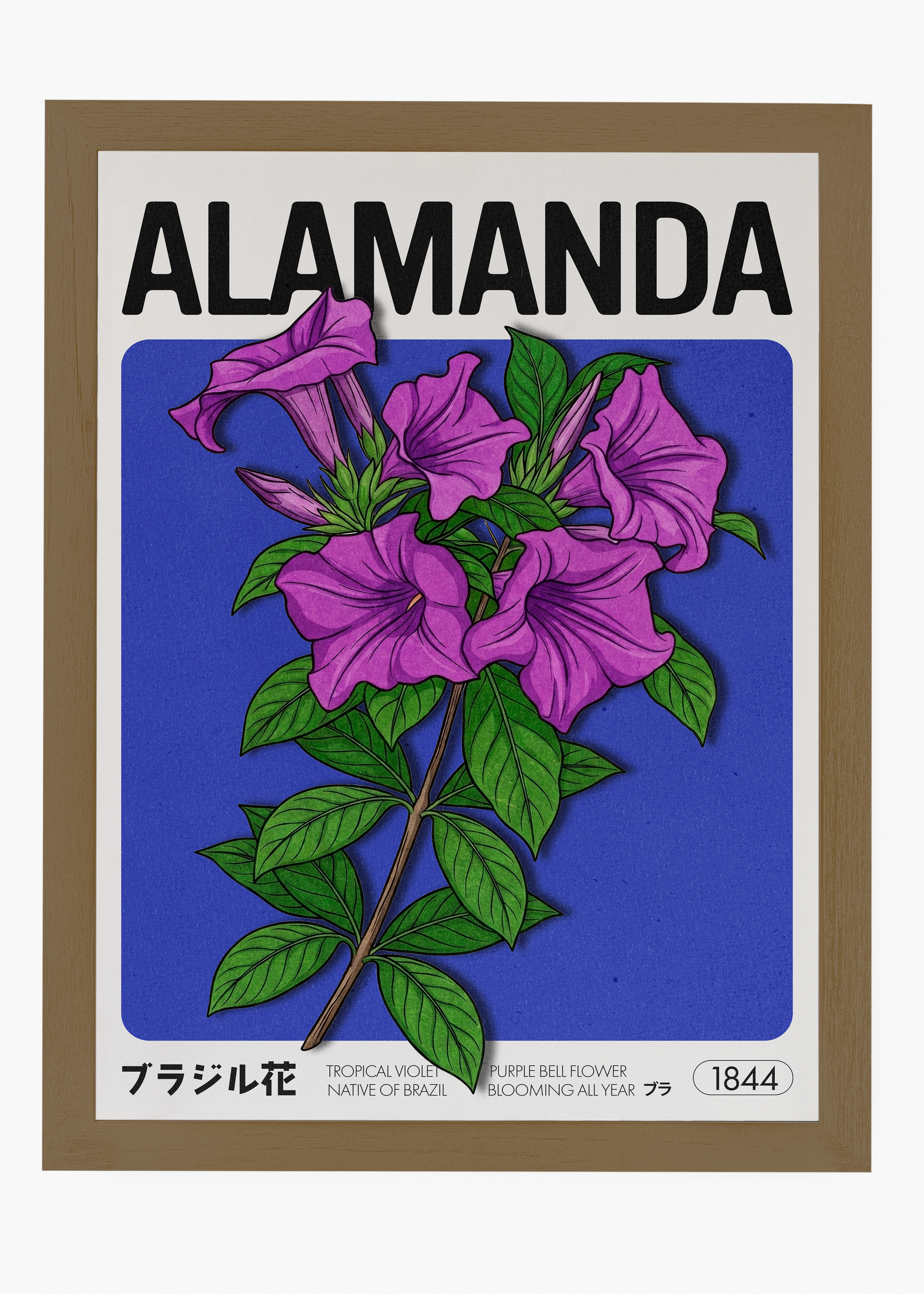 Quadro Alamanda - 6