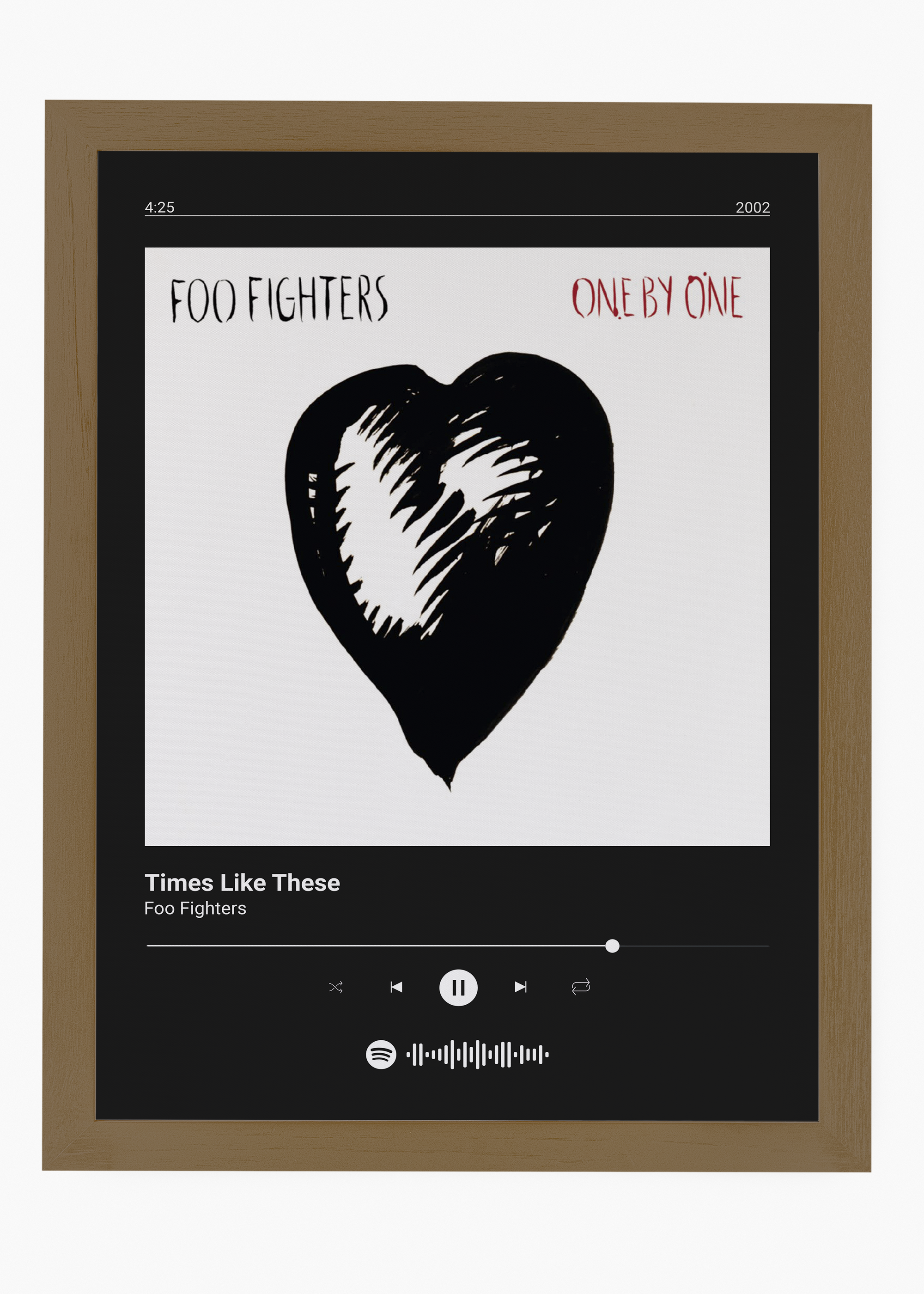 Quadro Foo Fighters Times Like These - 6