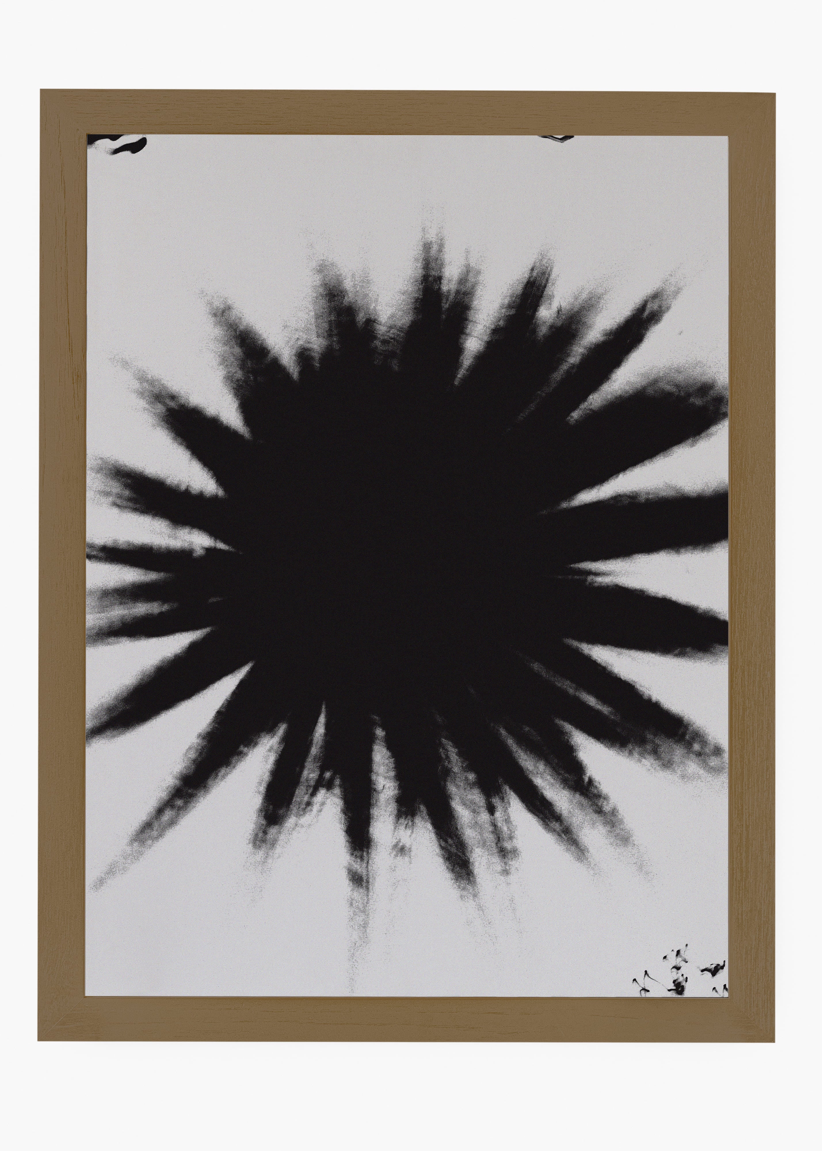 Quadro Star