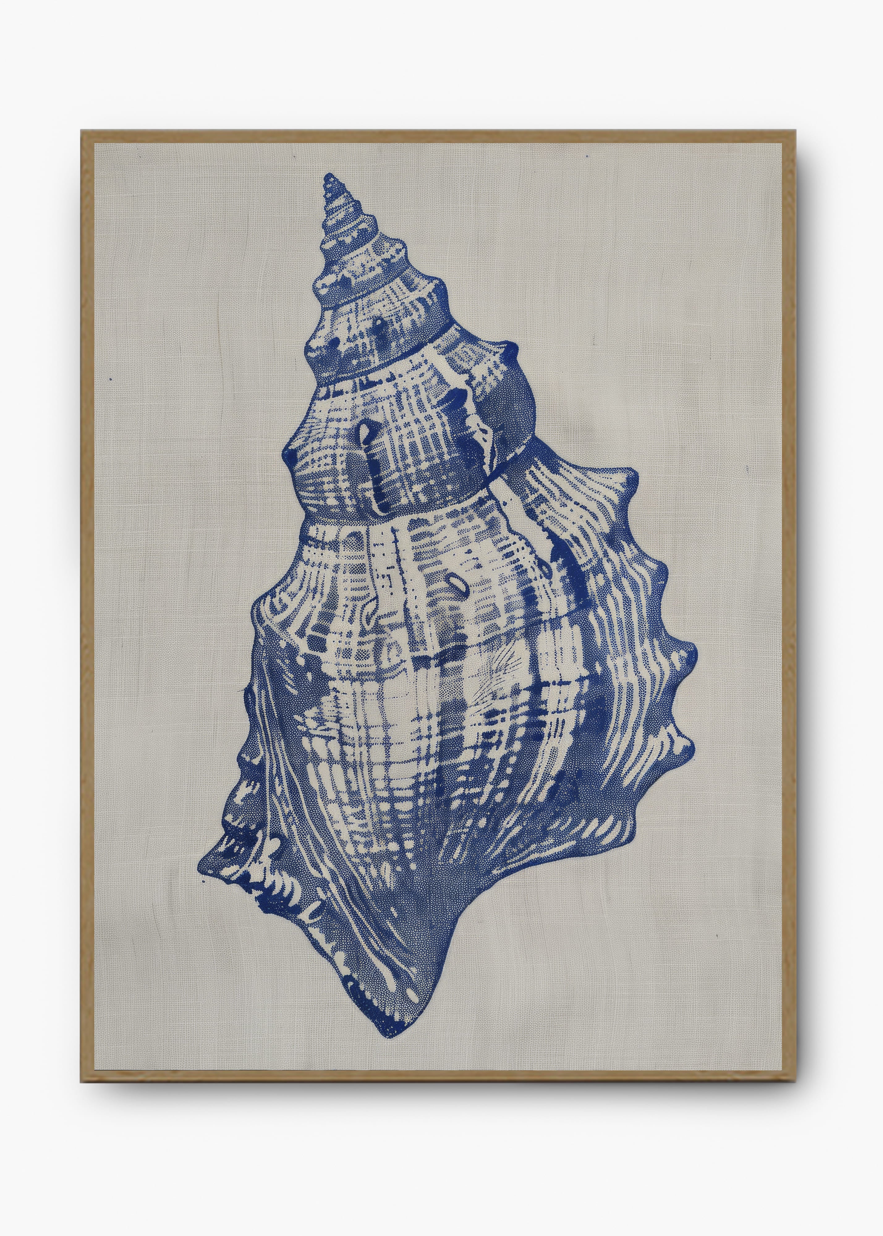 Quadro Shells I