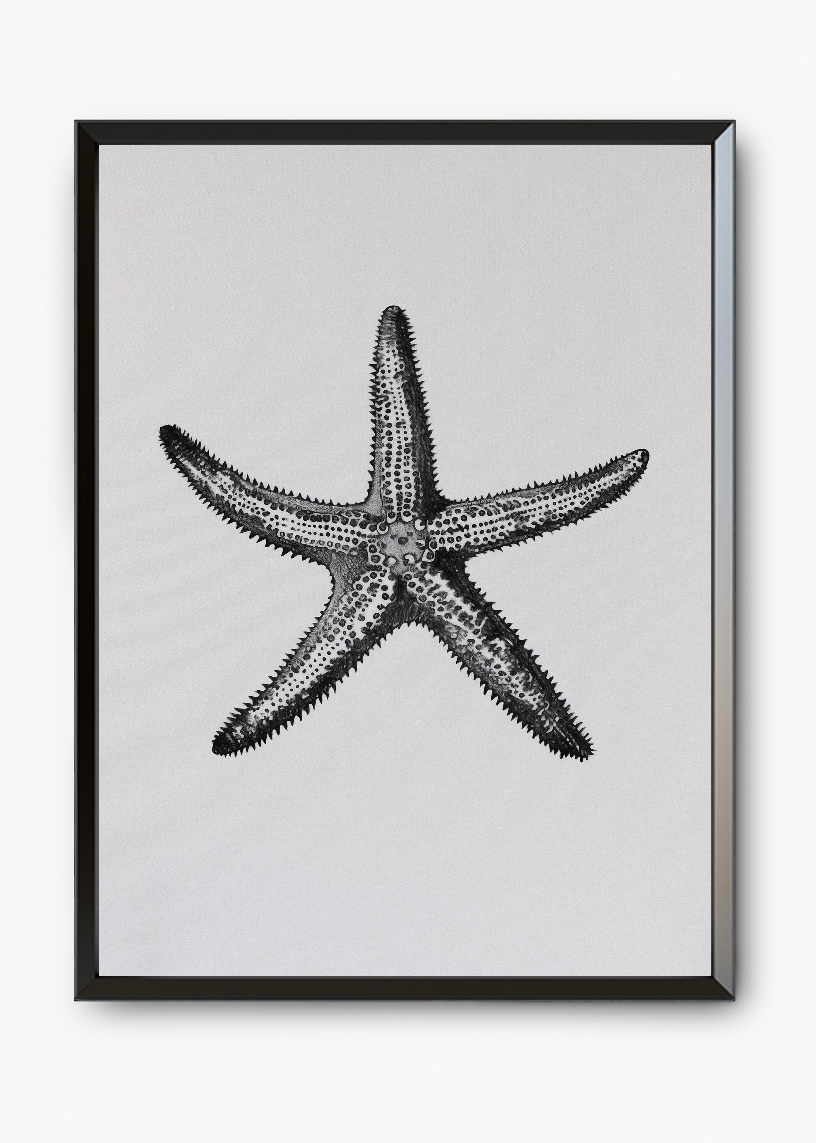 Quadro Starfish