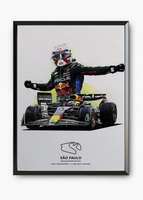 Quadro Max Verstappen São Paulo 2024