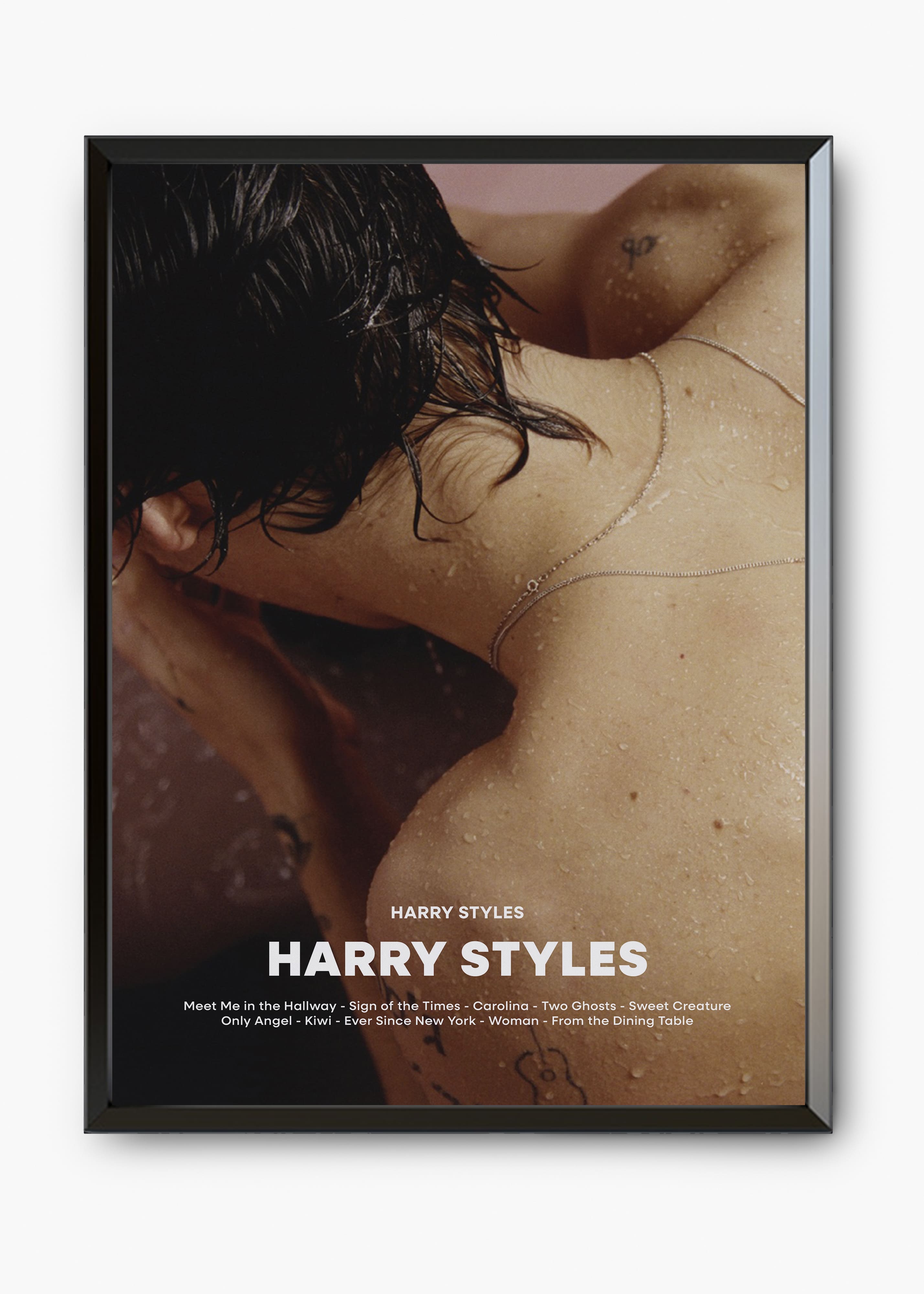 Quadro Harry Styles - Harry Styles Capa