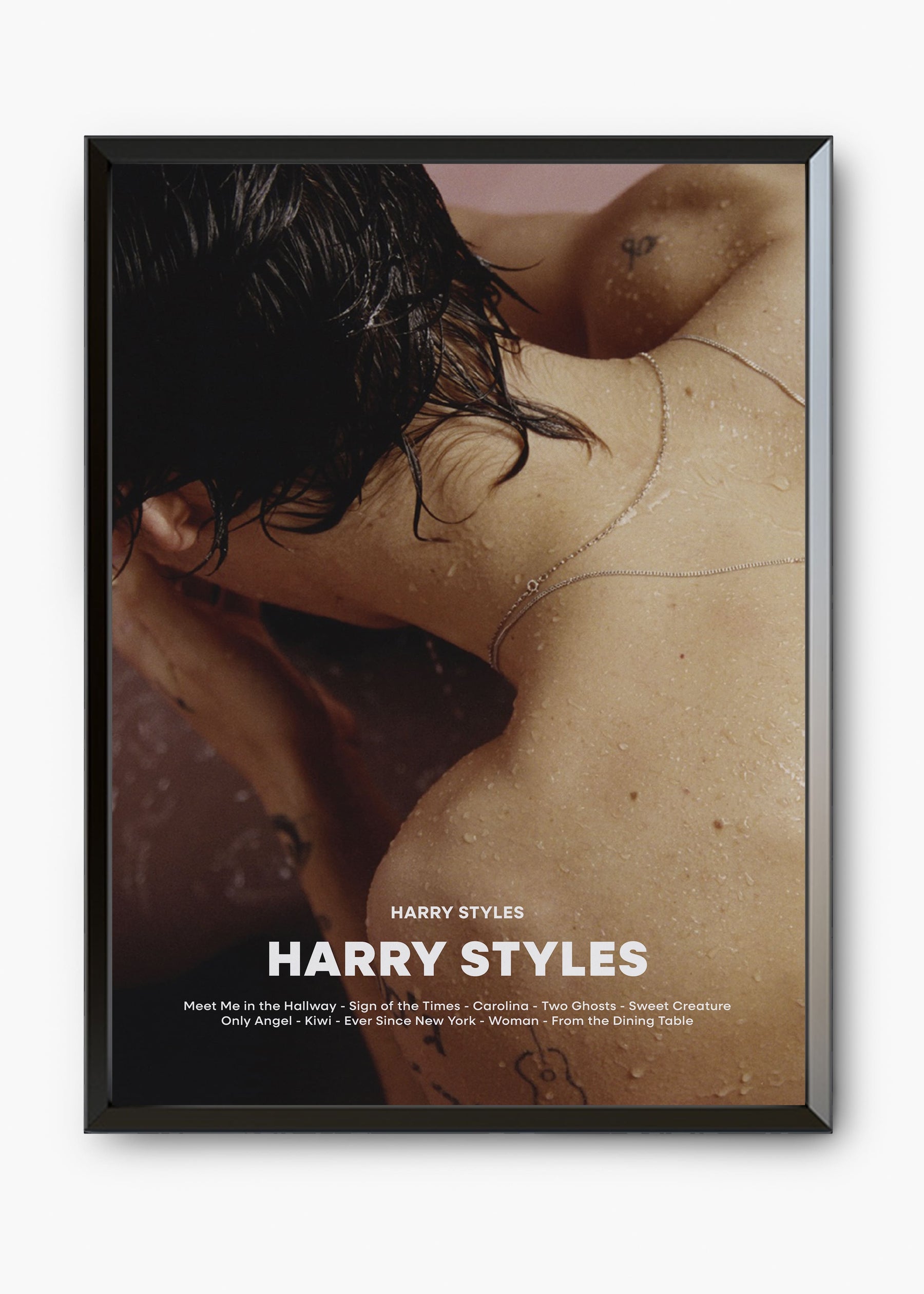 Quadro Harry Styles - Harry Styles Capa