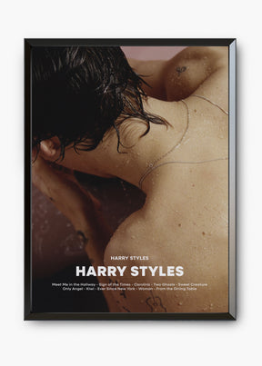 Quadro Harry Styles - Harry Styles Capa