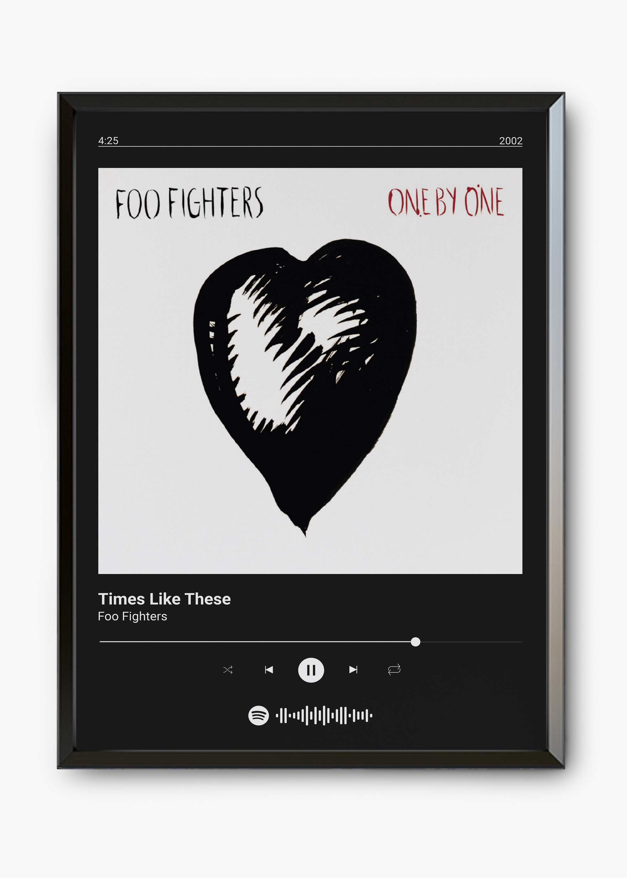 Quadro Foo Fighters Times Like These - 7