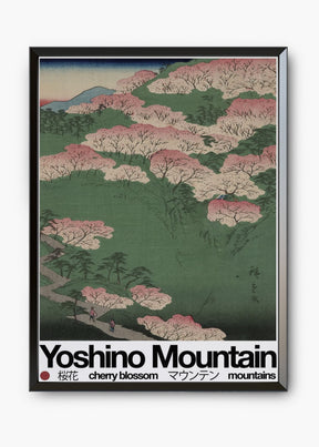 Quadro Mountain Yosh