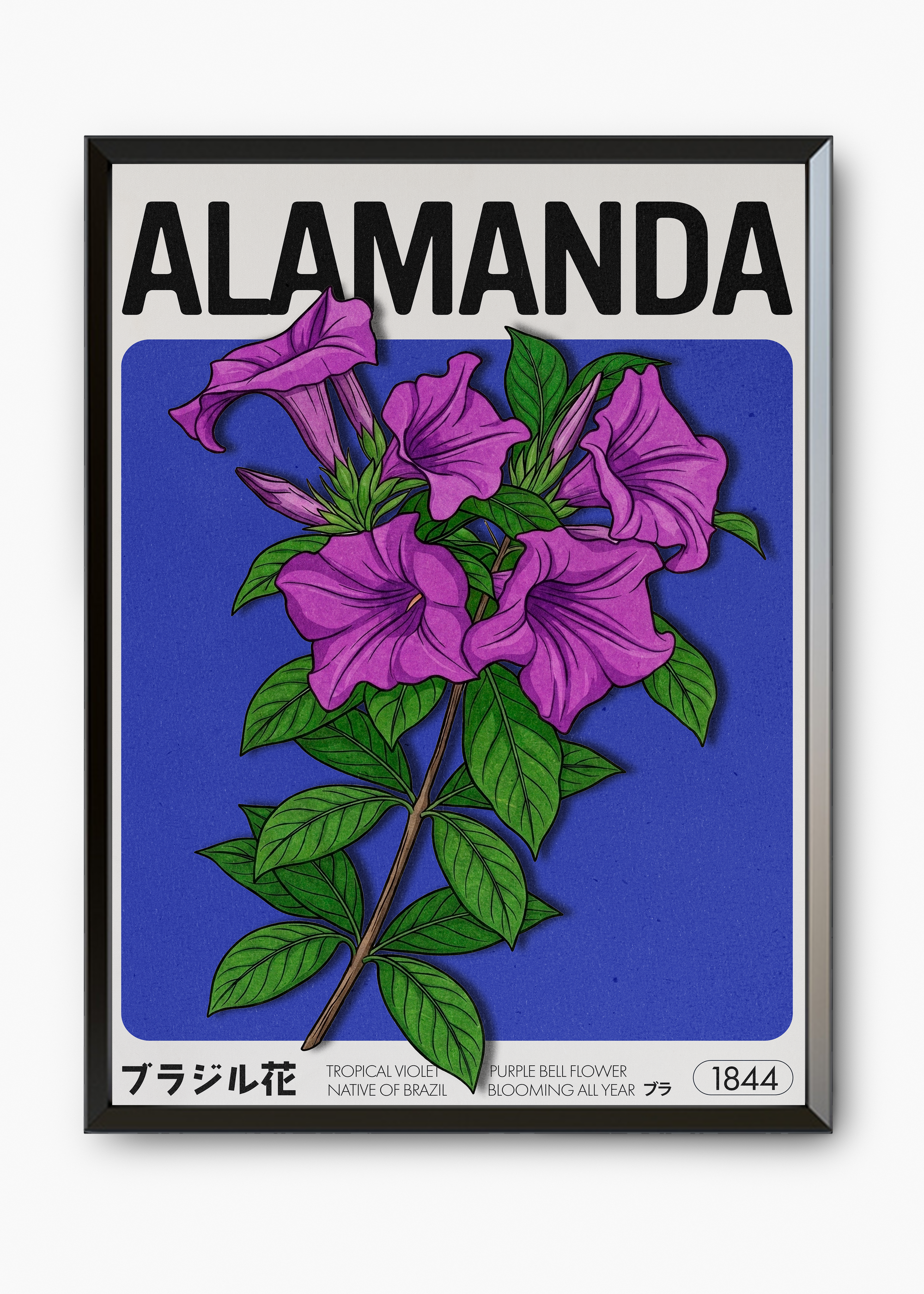 Quadro Alamanda - 7